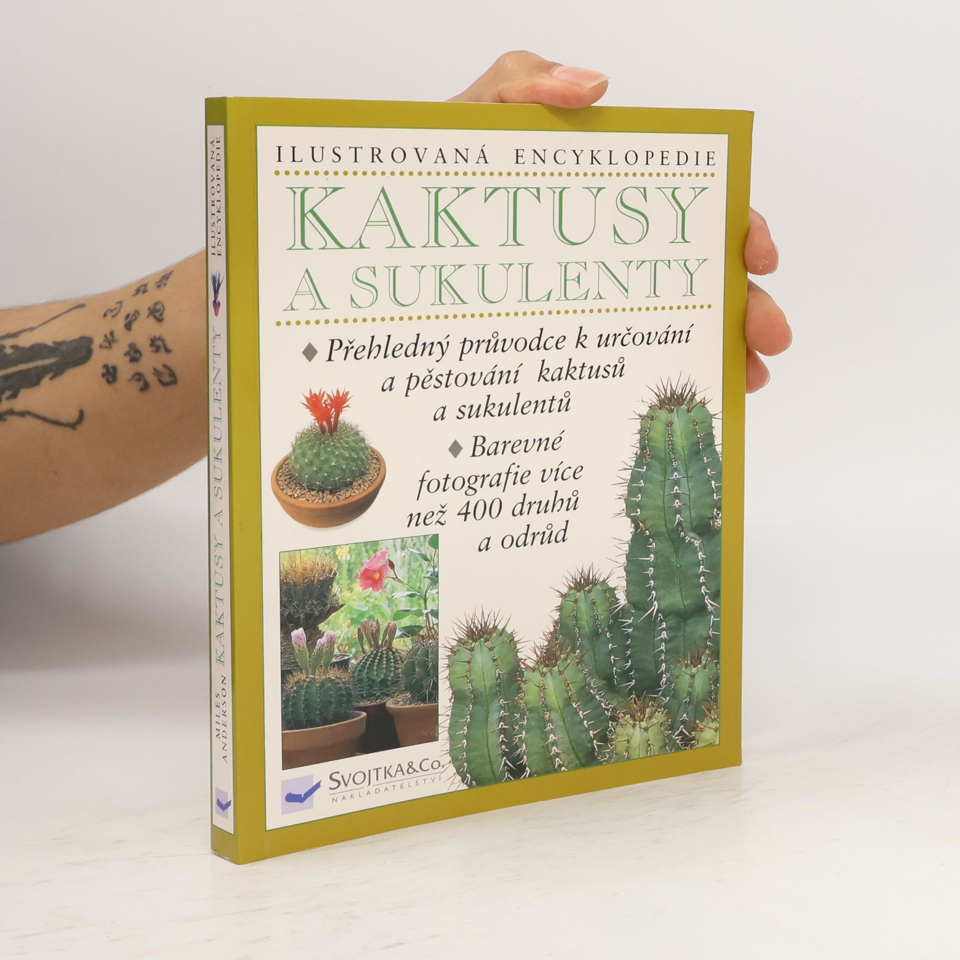 Kaktusy a sukulenty