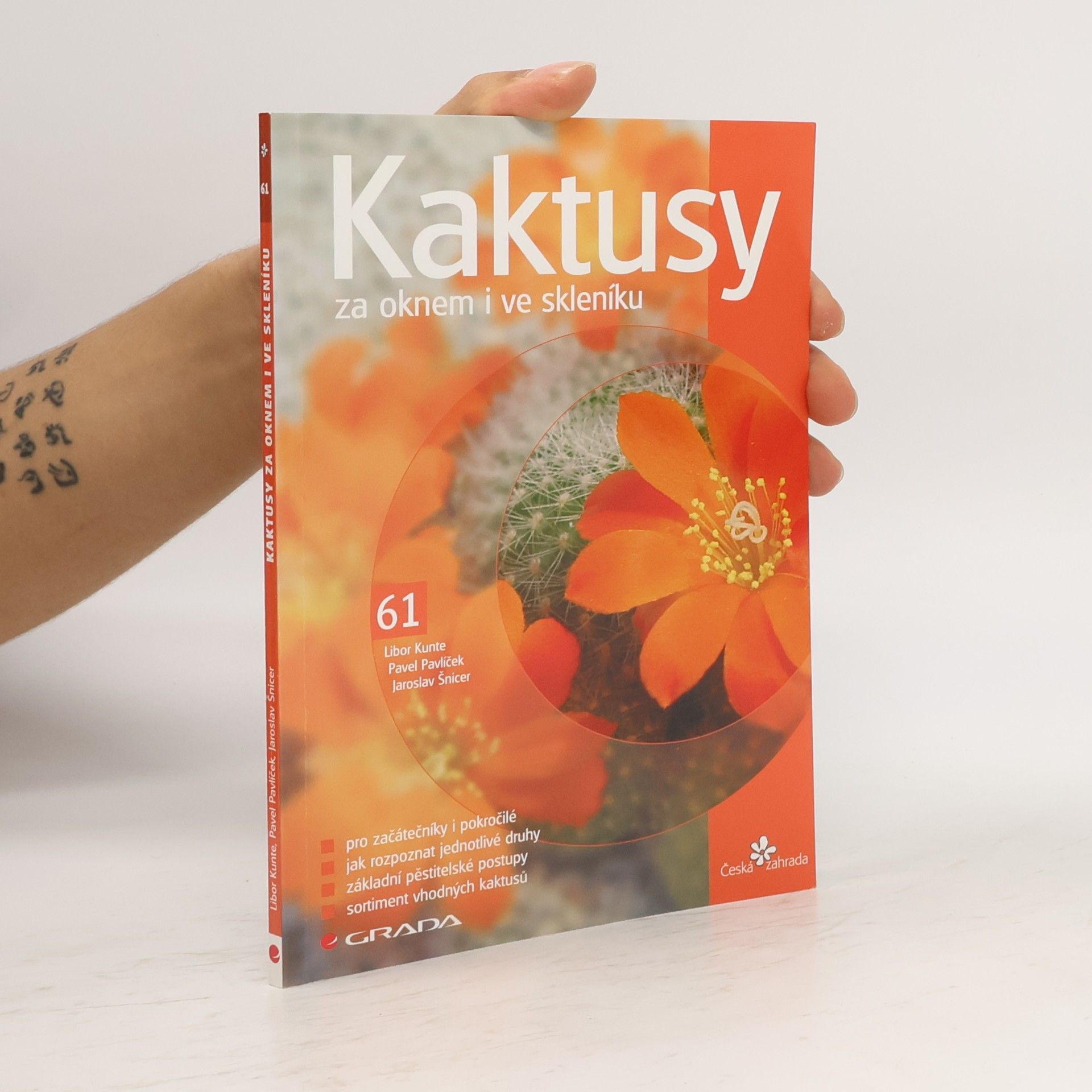 Jaroslav Šnicer Kaktusy za oknem i ve skleníku