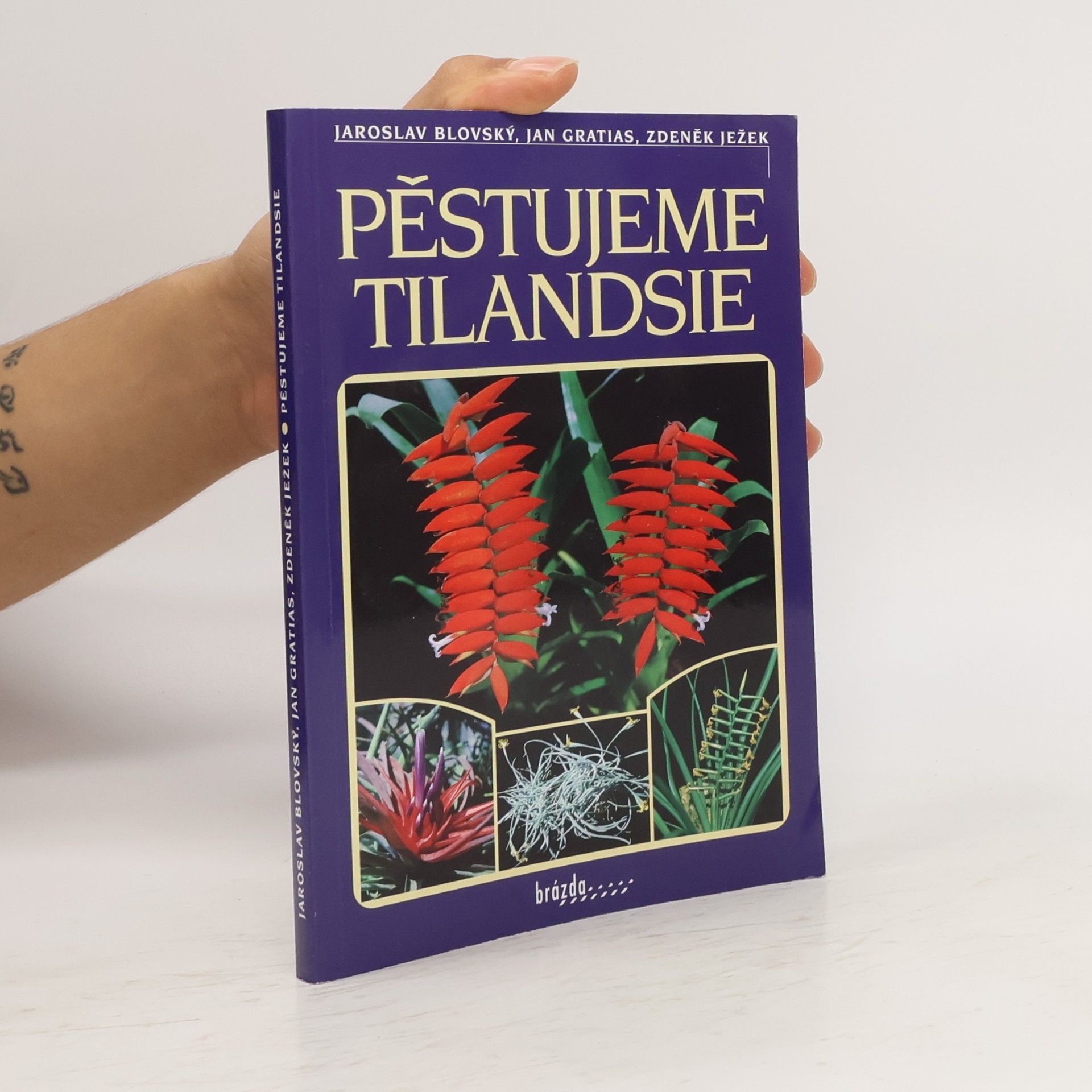 Pěstujeme tilandsie