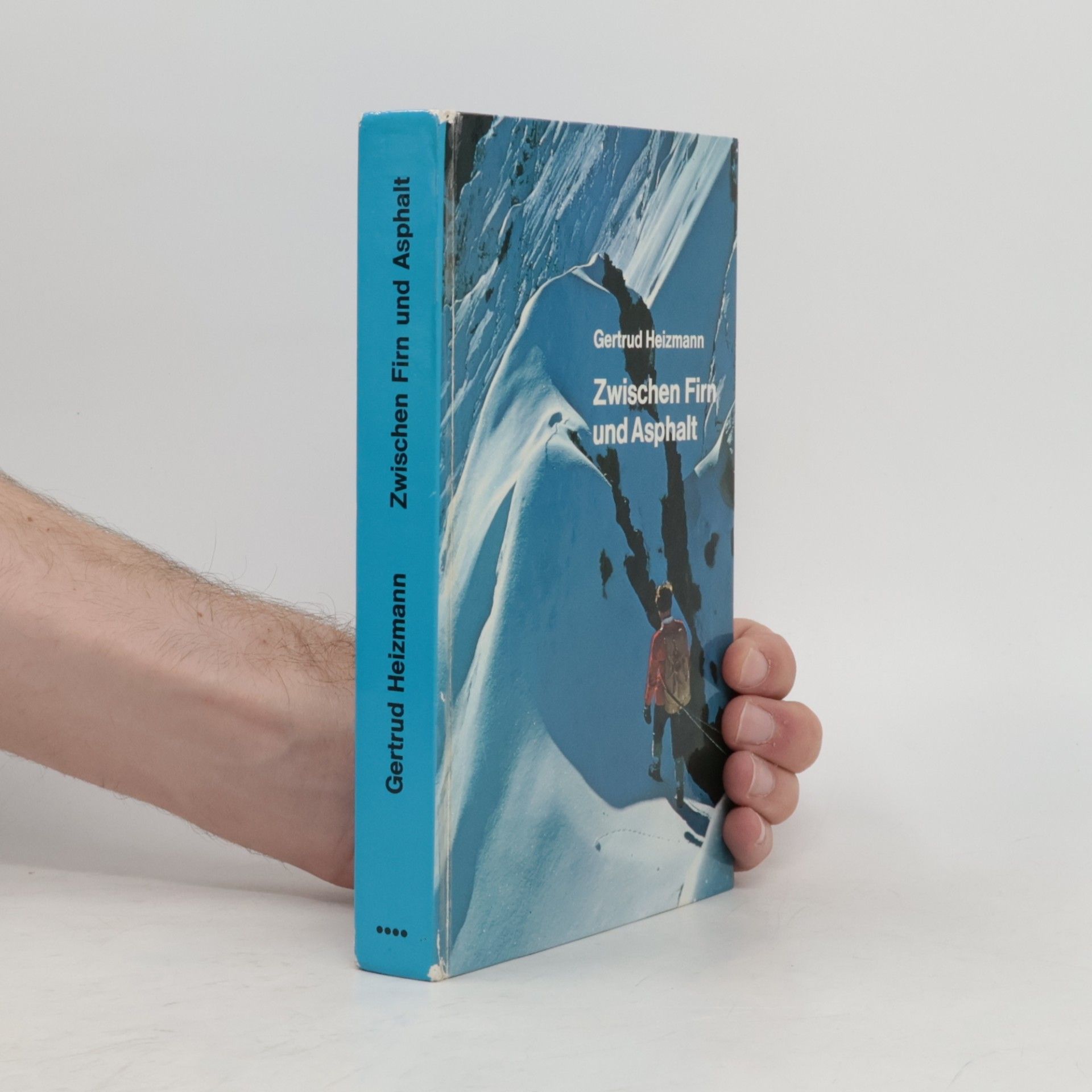 Gertrud Heizmann Zwischen Firn und Asphalt