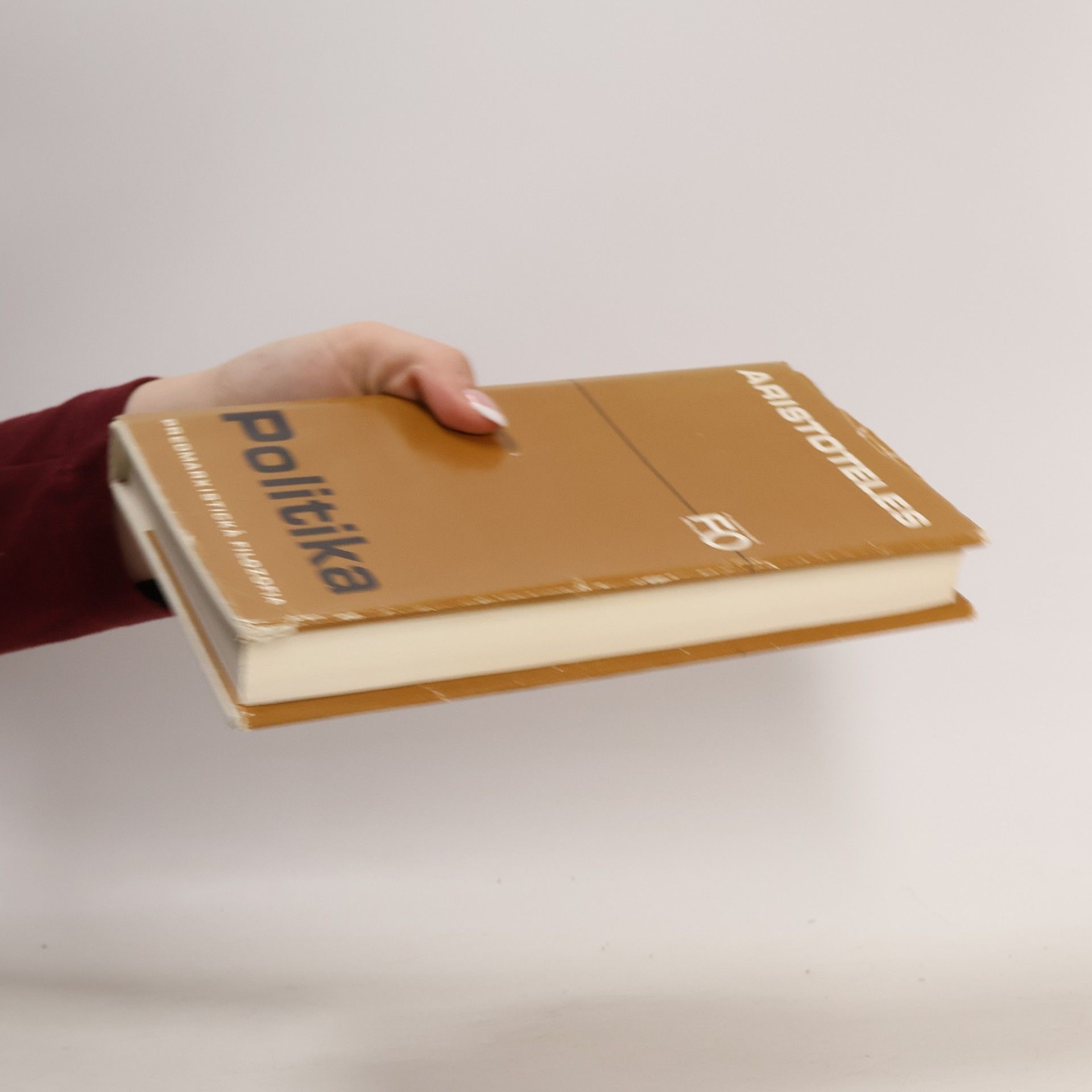 Aristoteles Politika