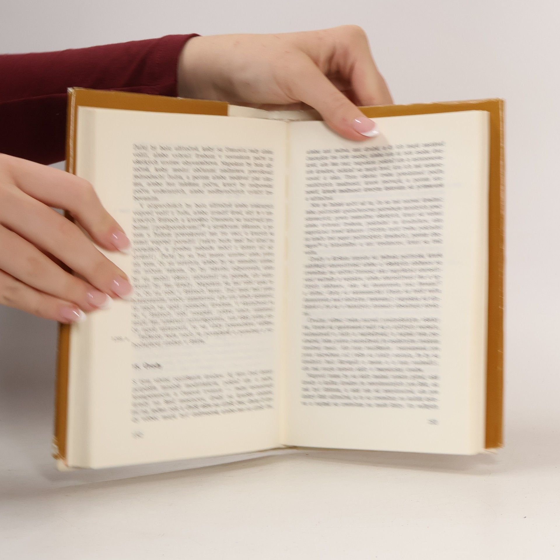 Aristoteles Politika