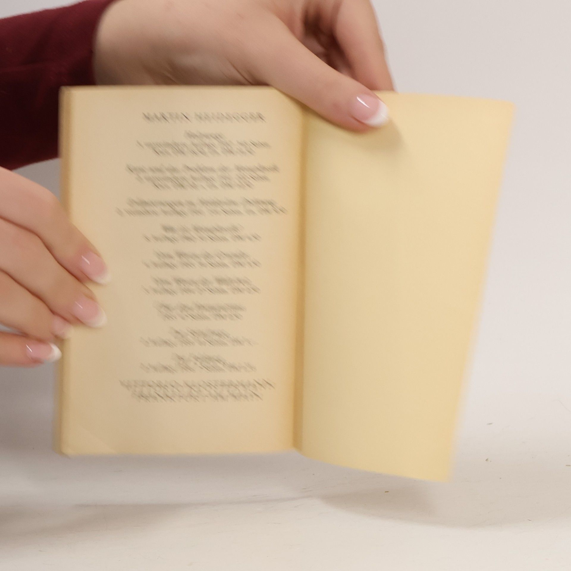 Martin Heidegger Der Ursprung des Kunstwerkes