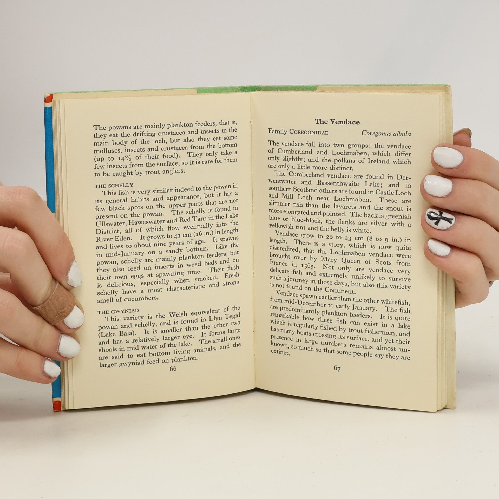 T. B. Bagenal The Observer's Book of Freshwater Fishes