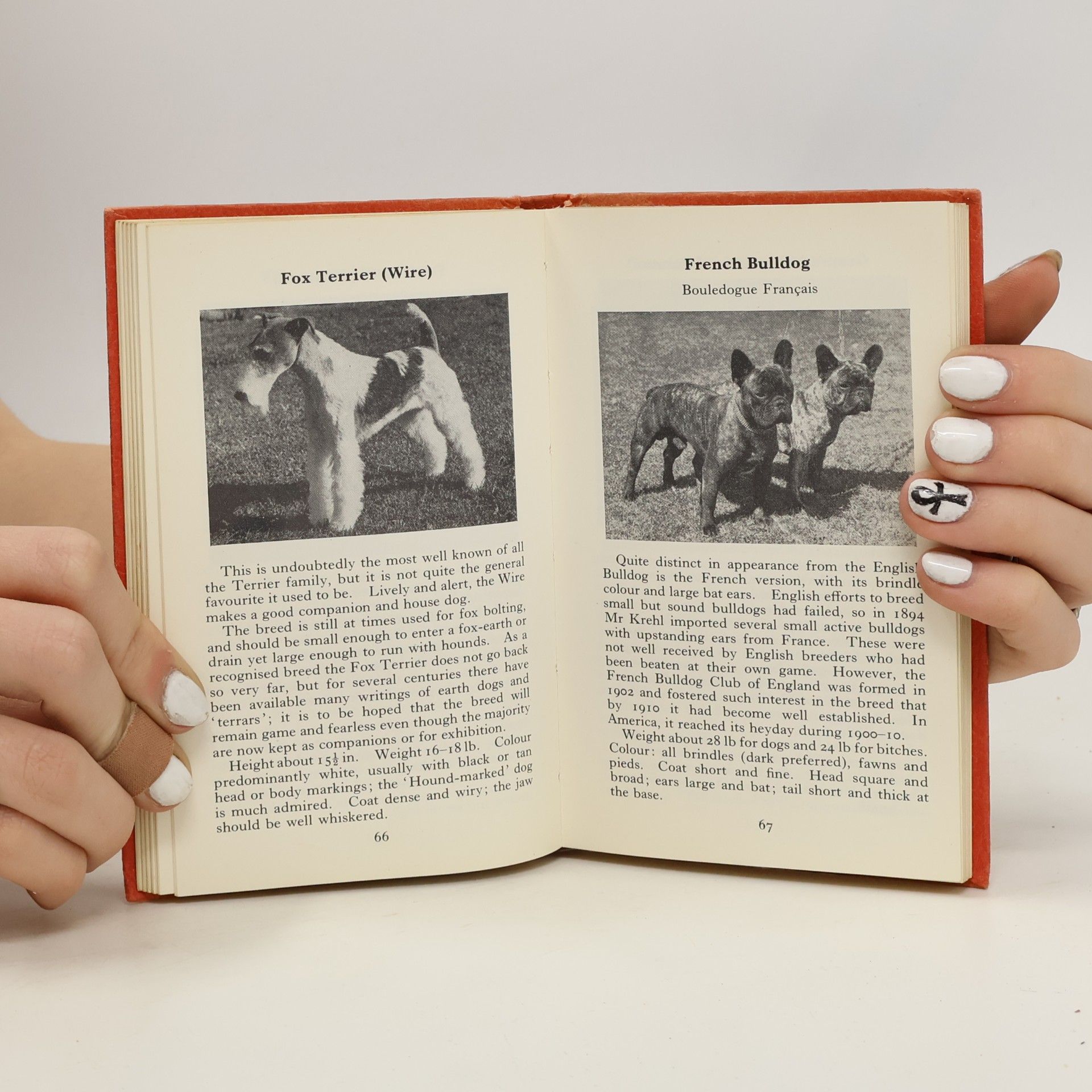 Sonia Marion Lampson The Observer's Book of Dogs