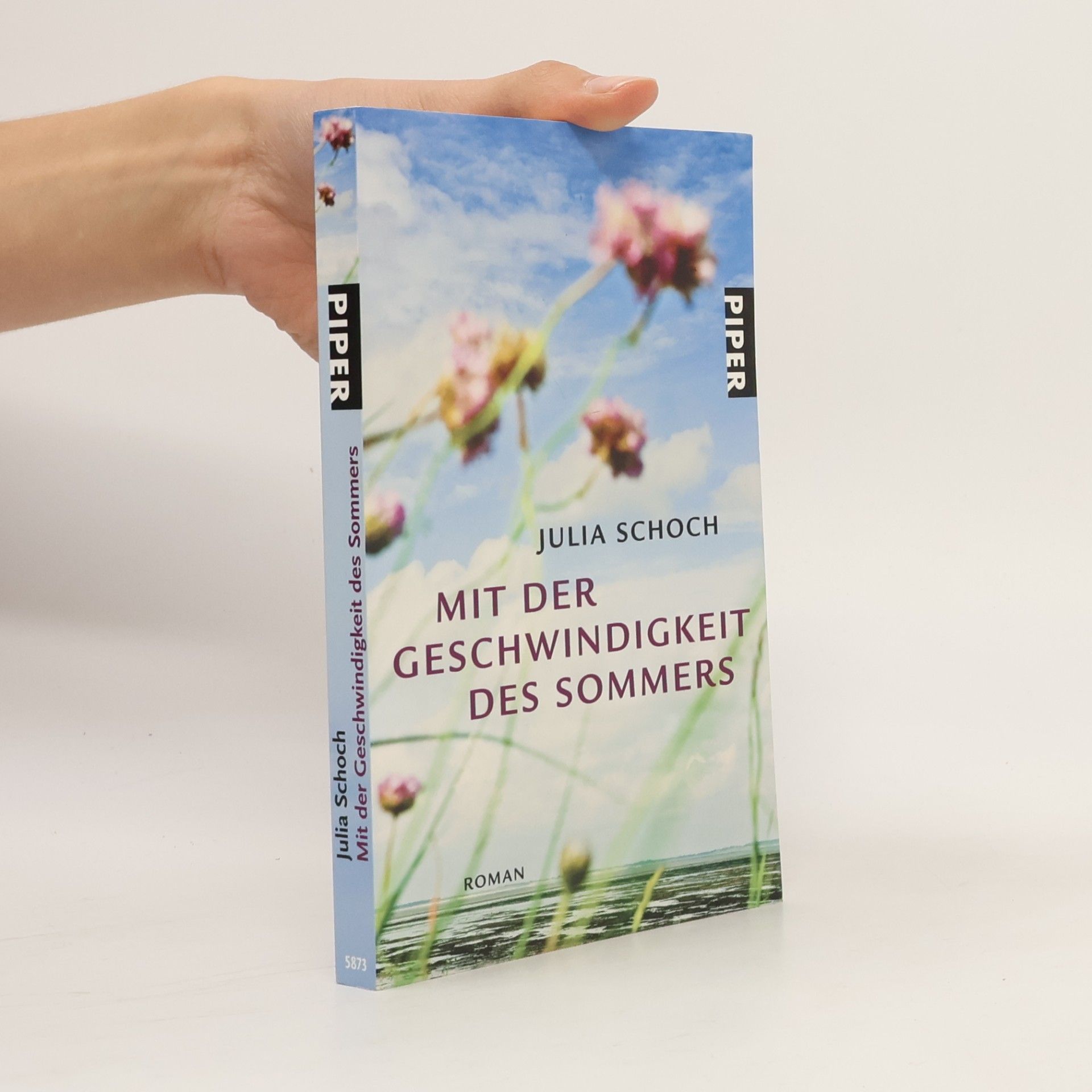 Julia Schoch Mit der Geschwindigkeit des Sommers