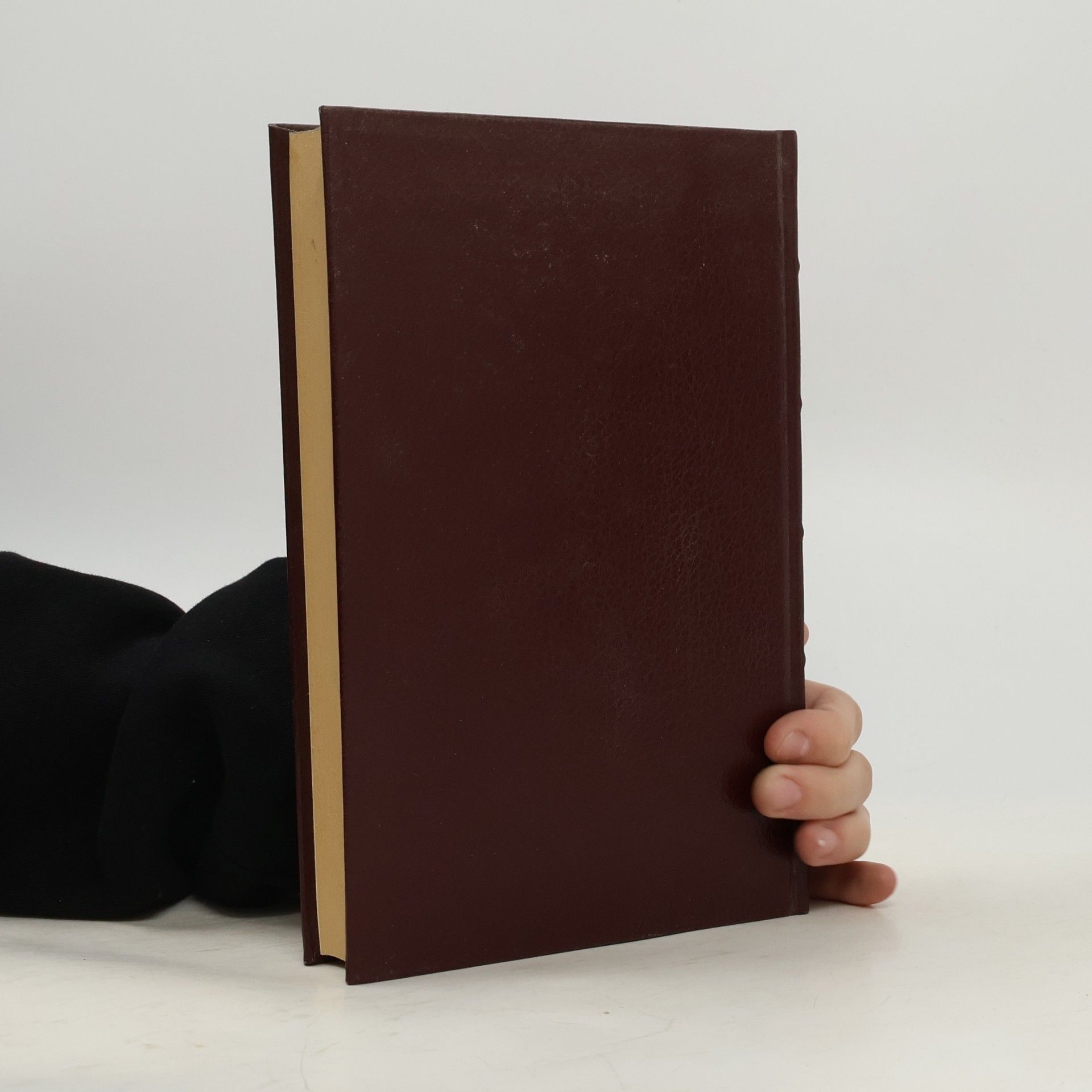 Miguel de Cervantes Saavedra Exemplarische Novellen