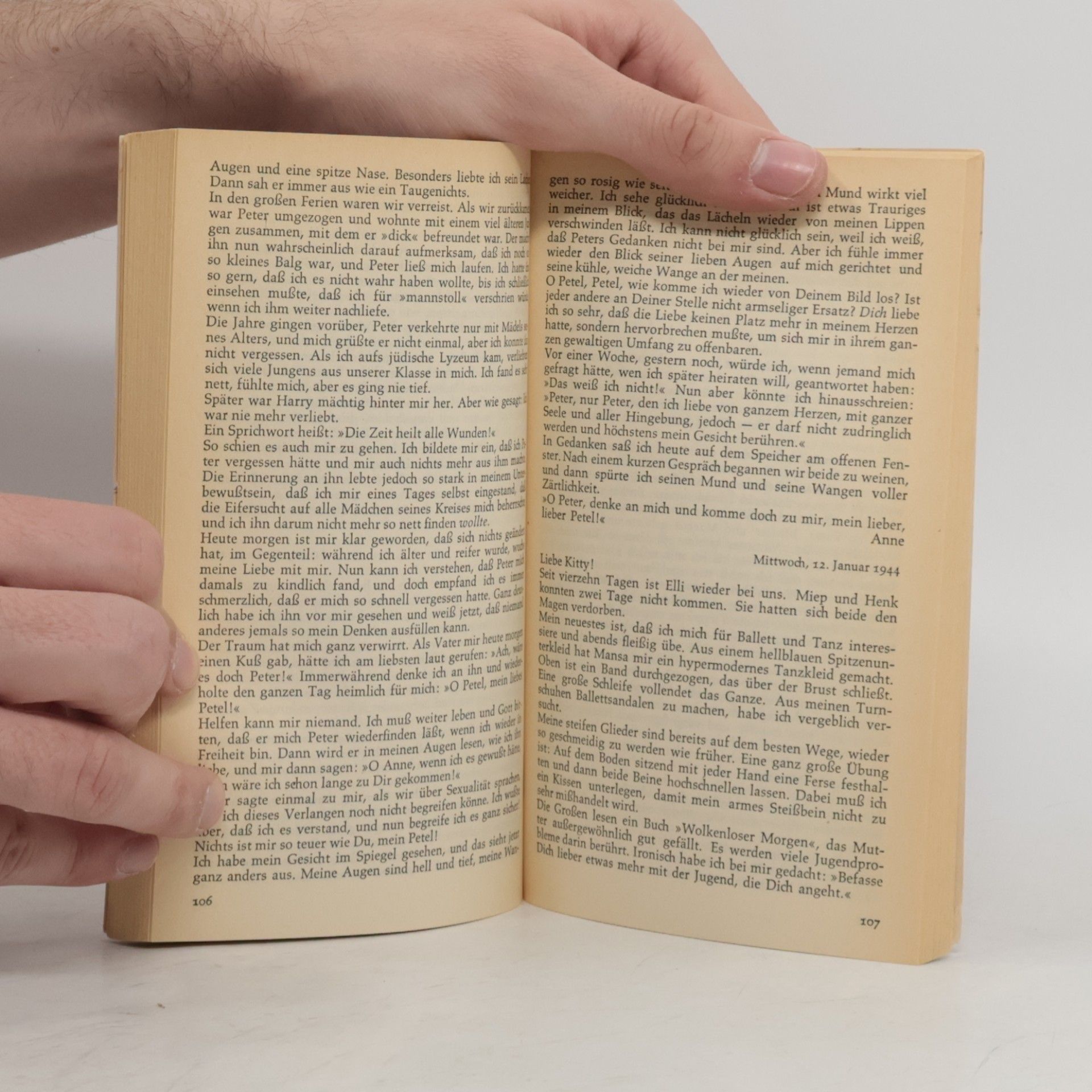 Anne Frank Das Tagebuch der Anne Frank