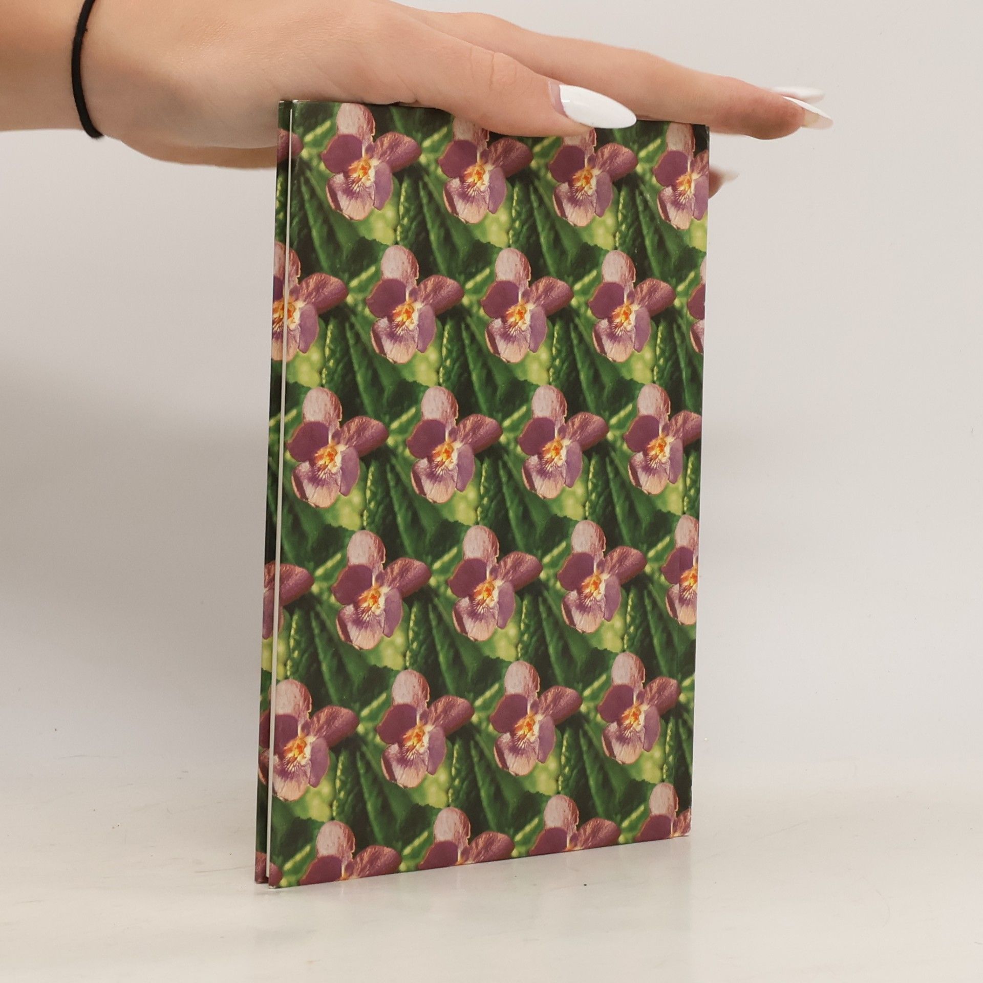 Martina Hochheimer Die Blumen des Frühlings