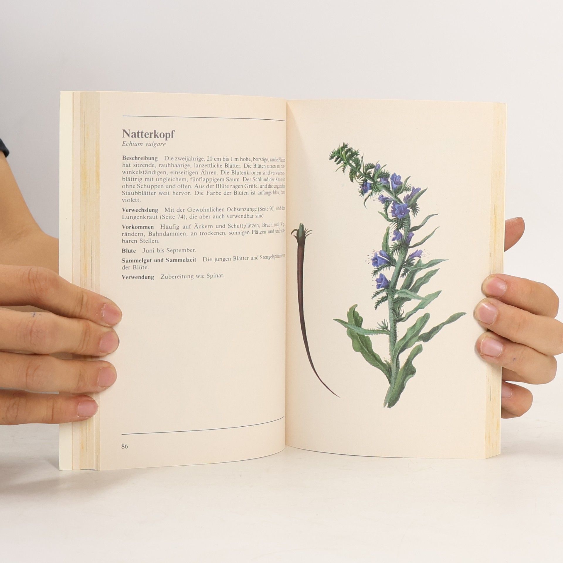 Eve Marie Helm Feld-, Wald- und Wiesenkochbuch