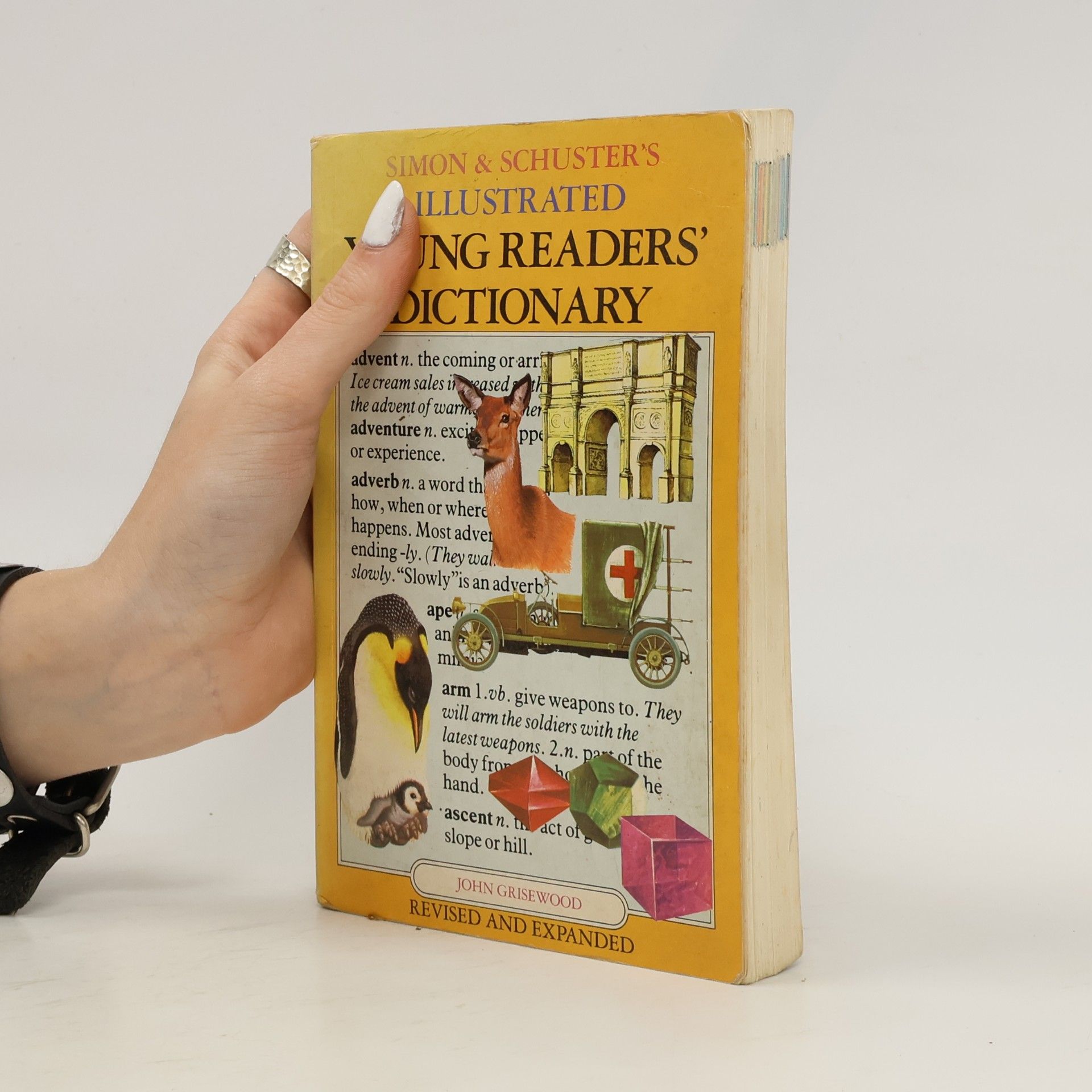 John Grisewood The Simon & Schuster Young Readers' Illustrated Dictionary