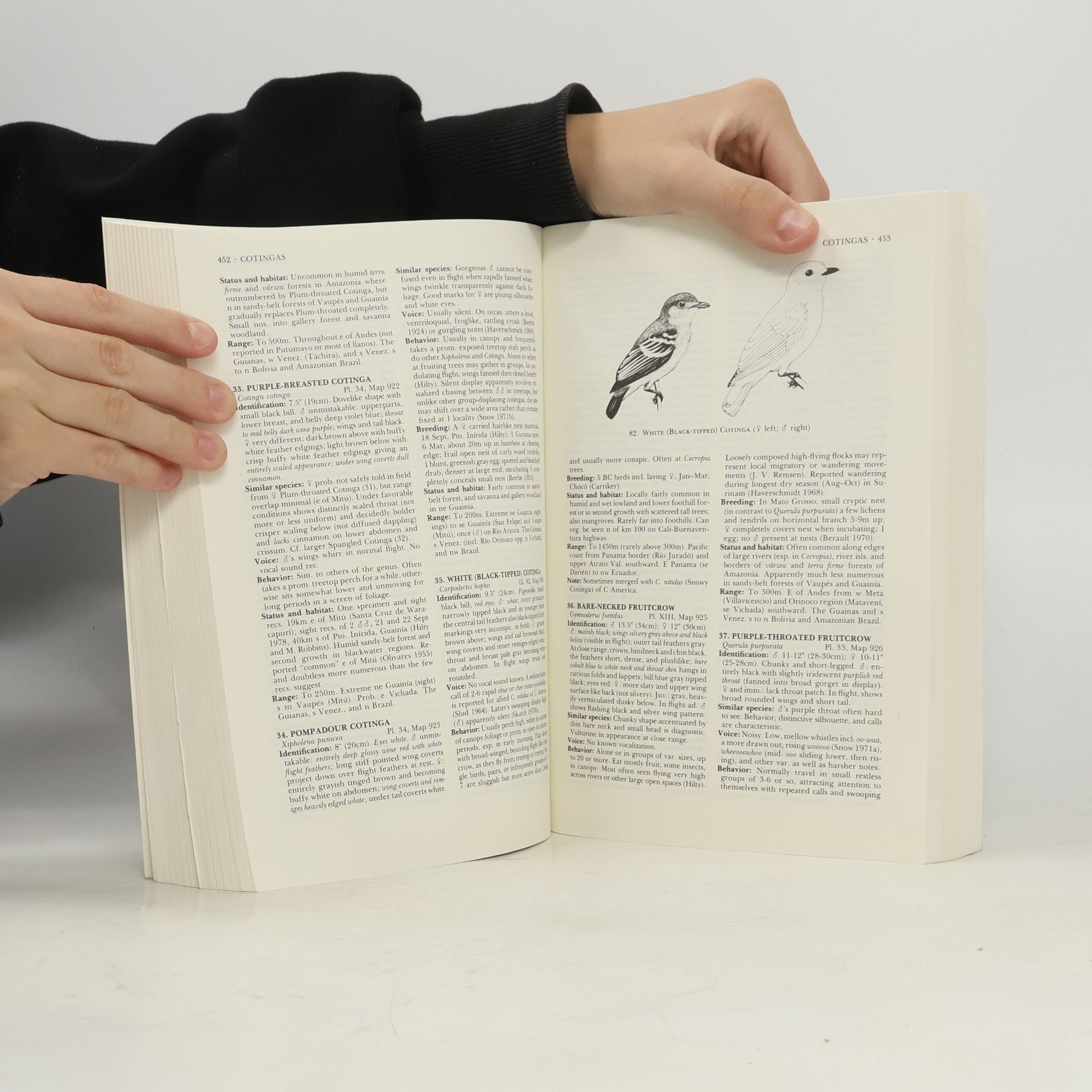 William L. Brown A Guide to the Birds of Colombia