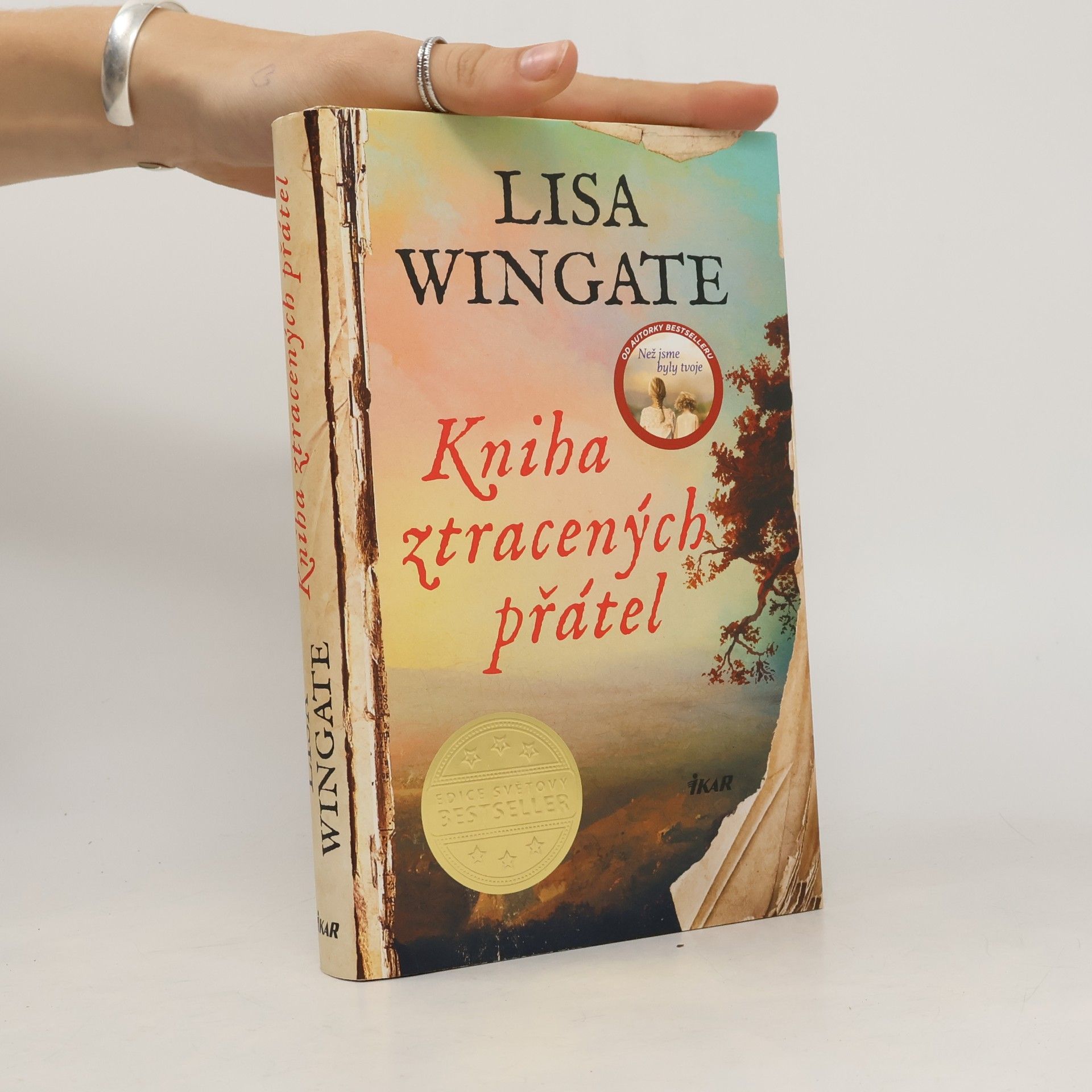 Lisa Wingate Kniha ztracených přátel