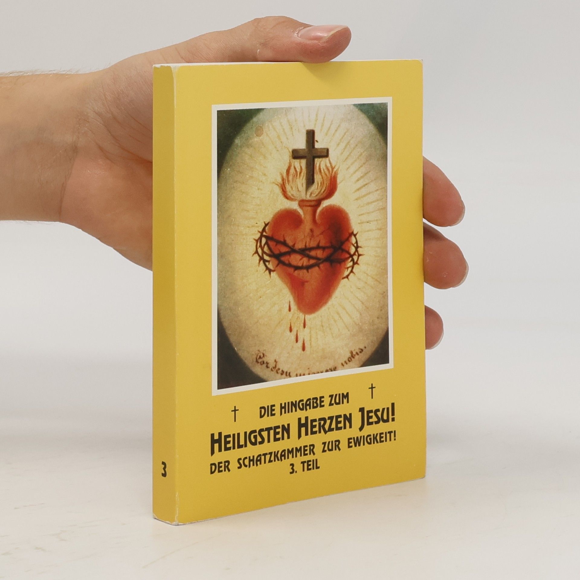 kolektiv Die Hingabe zum Heiligsten Herzen Jesu! 3.