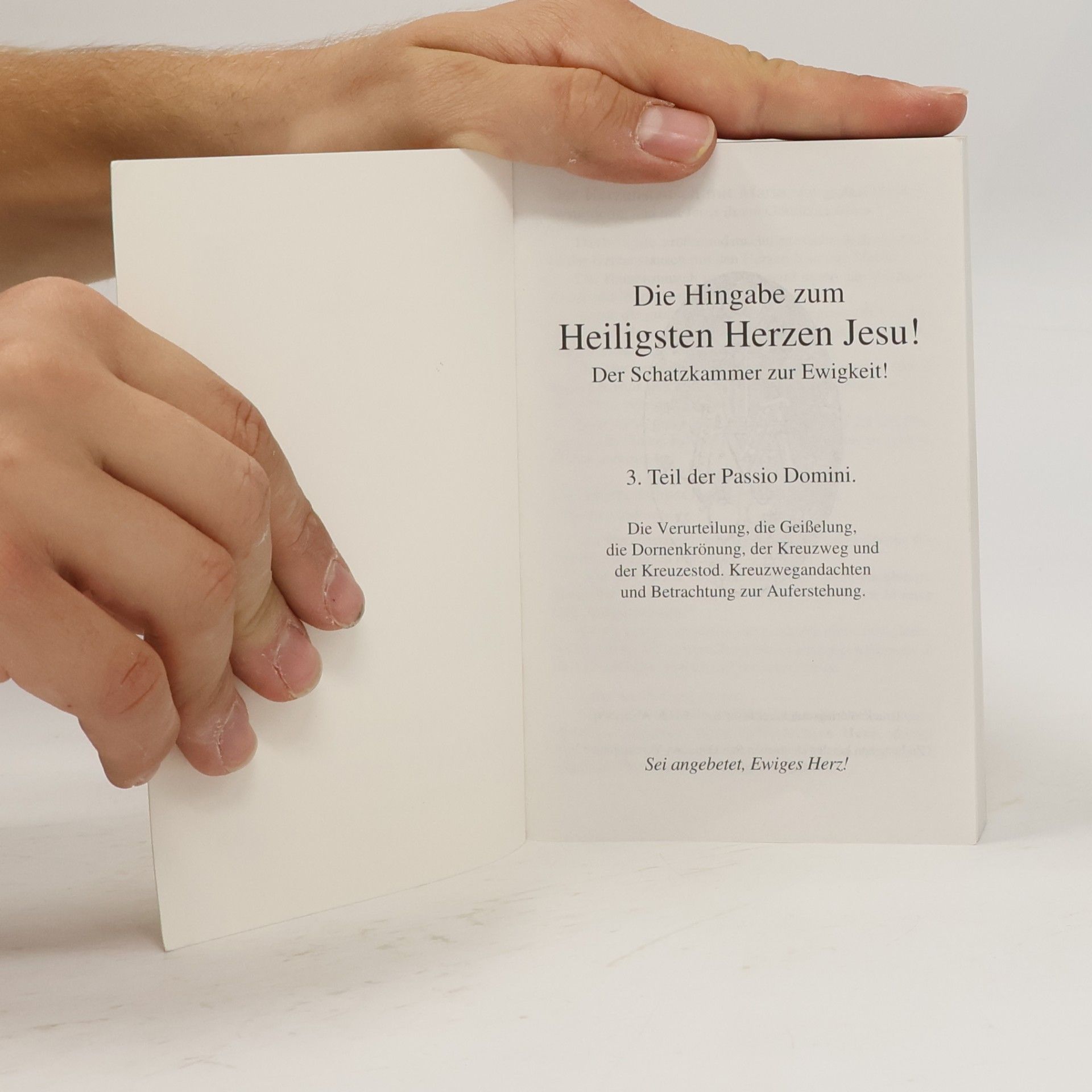 kolektiv Die Hingabe zum Heiligsten Herzen Jesu! 3.