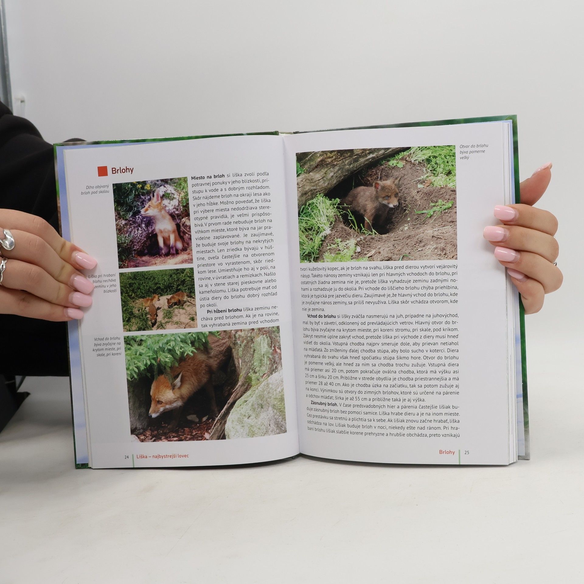 Ivan Kňaze Líška – najbystrejší lovec