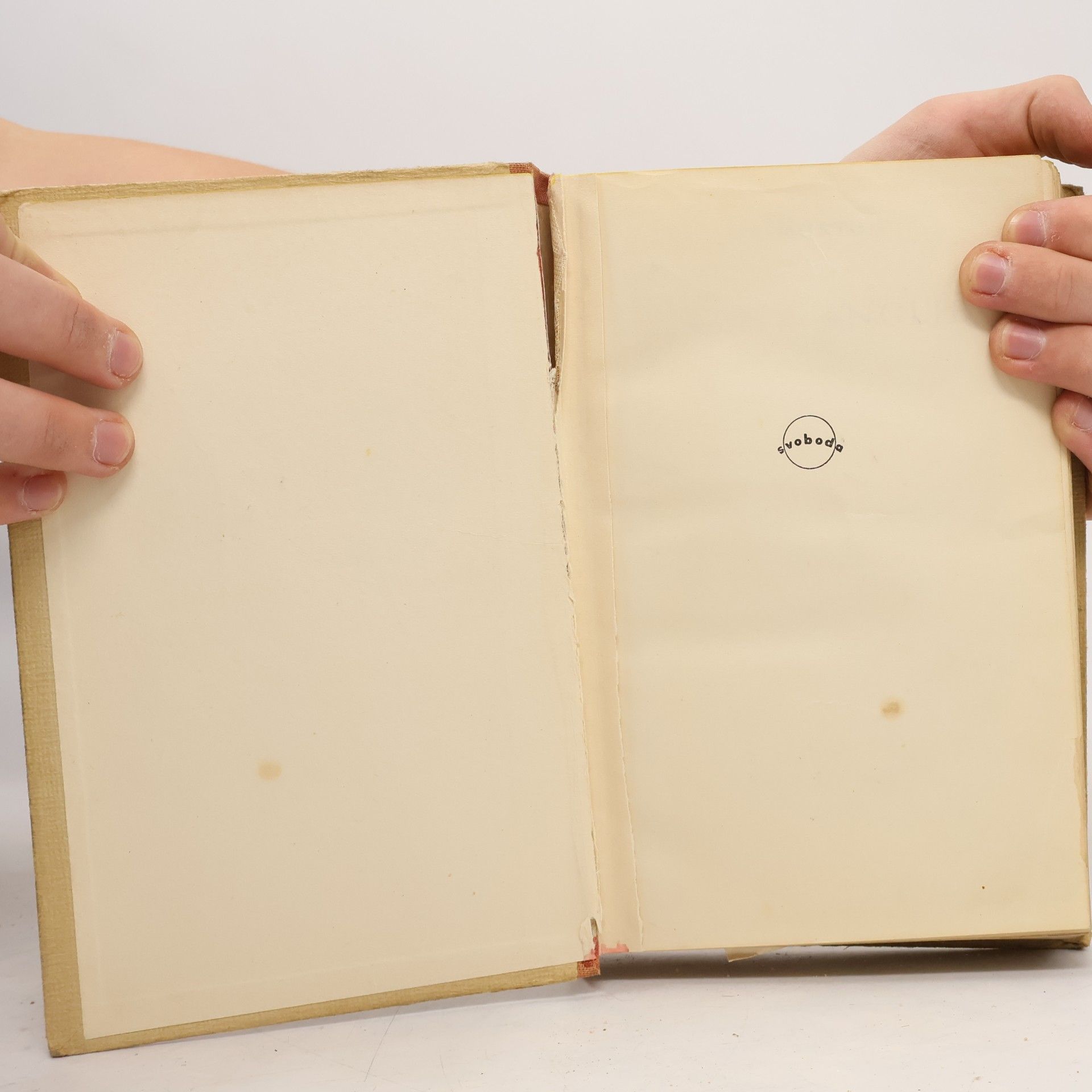 A. L. Morton Dějiny Anglie