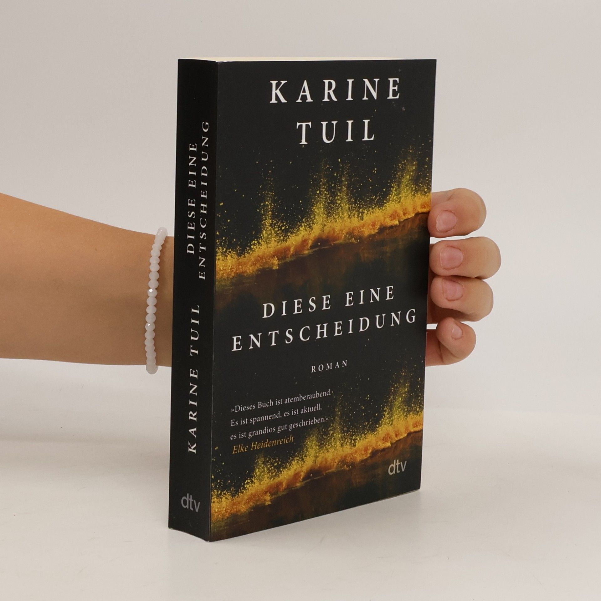 Karine Tuil Diese eine Entscheidung