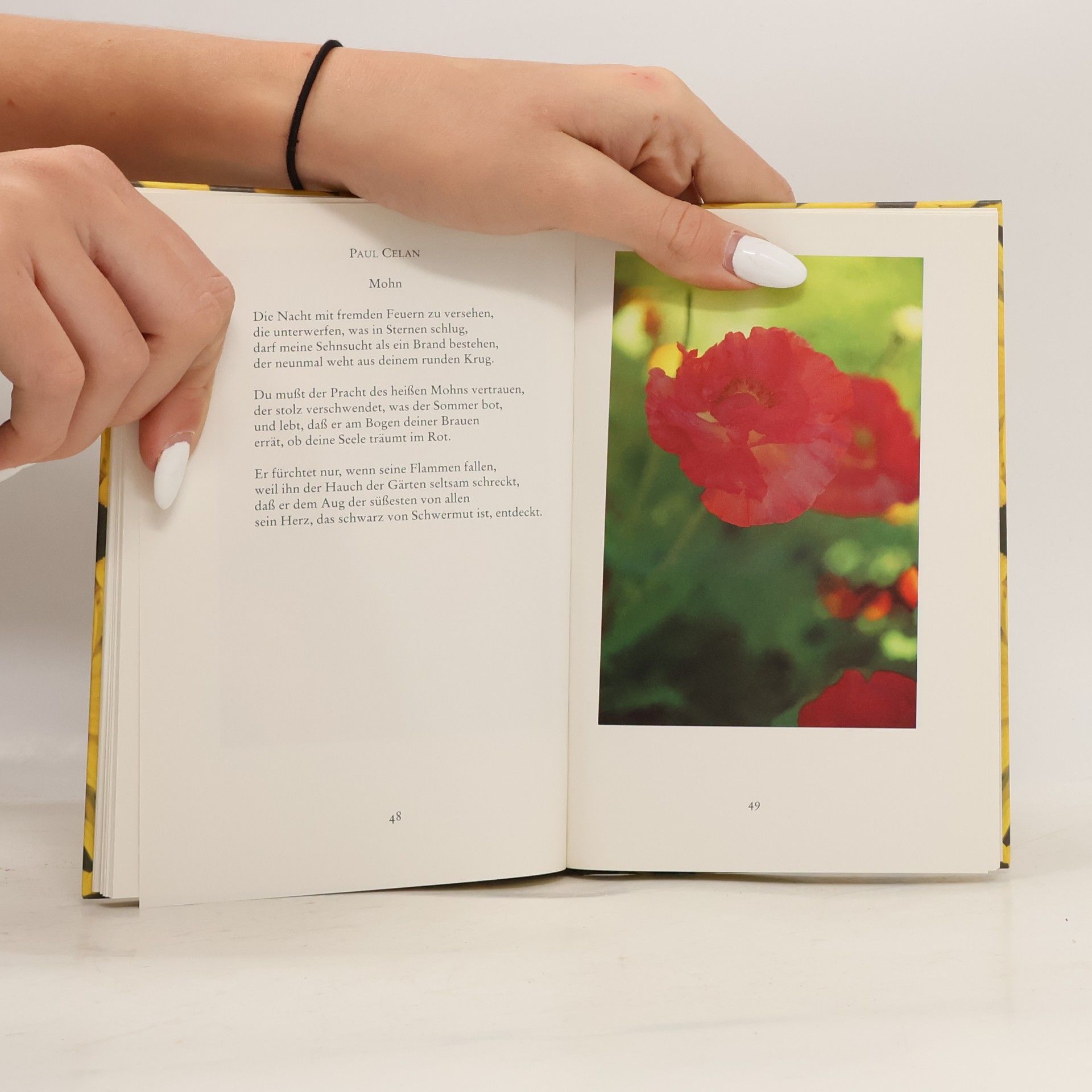 Martina Hochheimer Und die Blumen des Sommers, die schön im Winde läuten