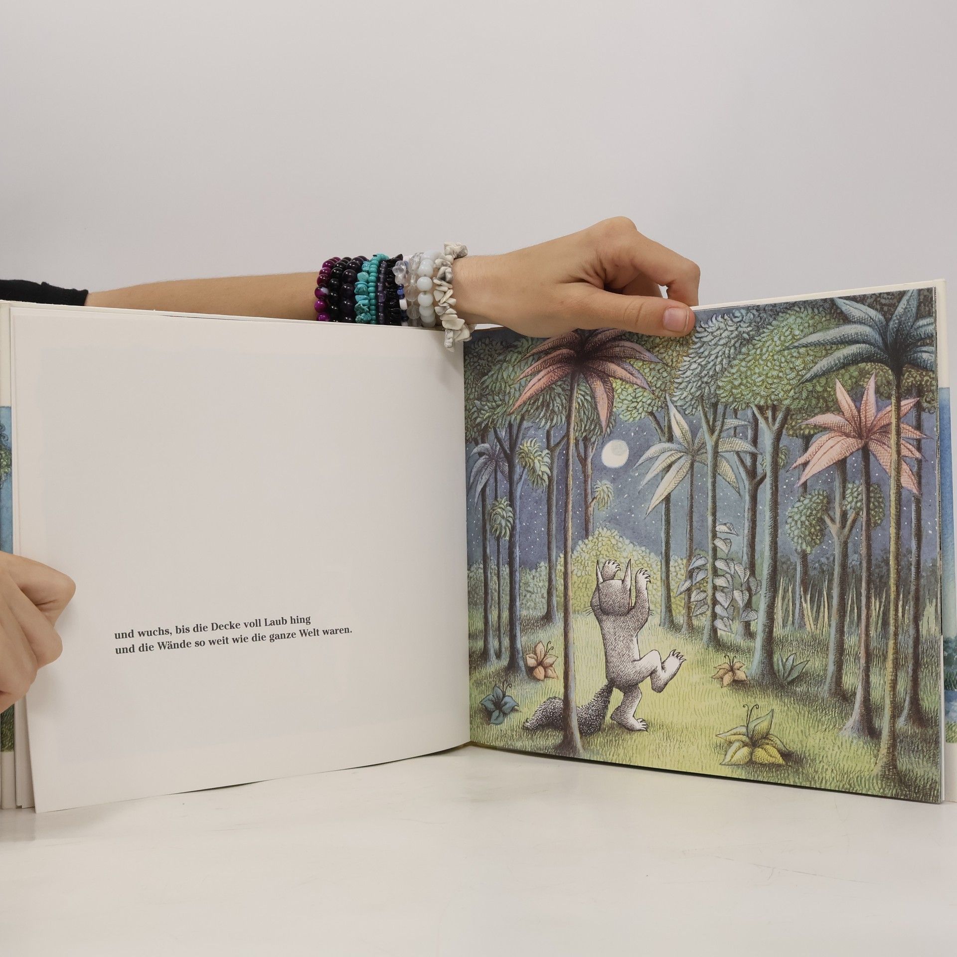 Maurice Sendak Wo die wilden Kerle wohnen