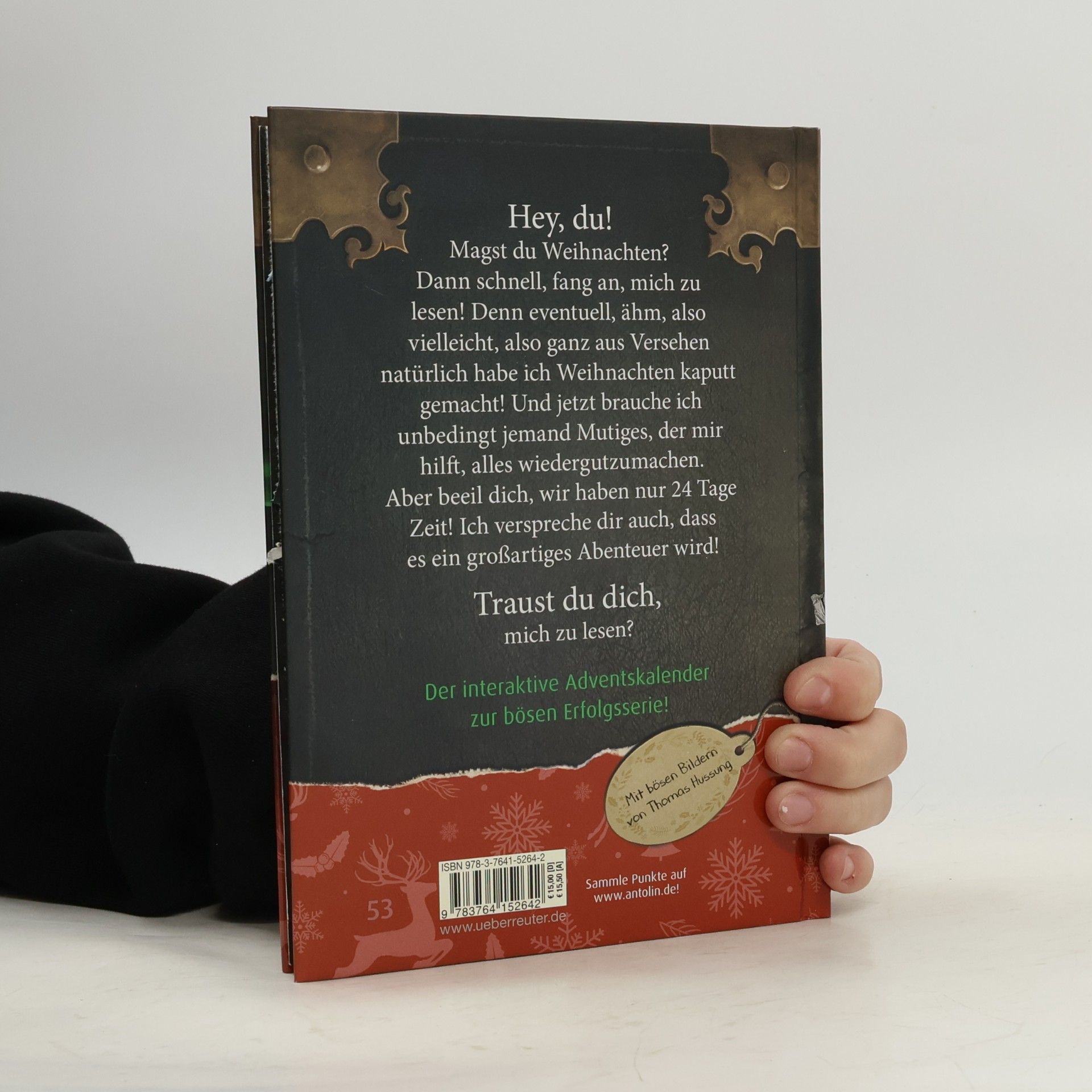 Magnnus Myst Das kleine Böse Buch - Adventskalender (Das kleine Böse Buch)