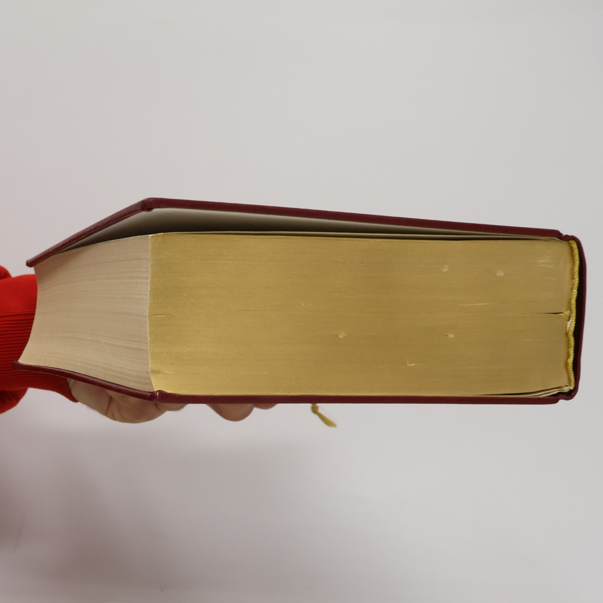 Autorenkollektiv Die Bibel. Die gute Nachricht