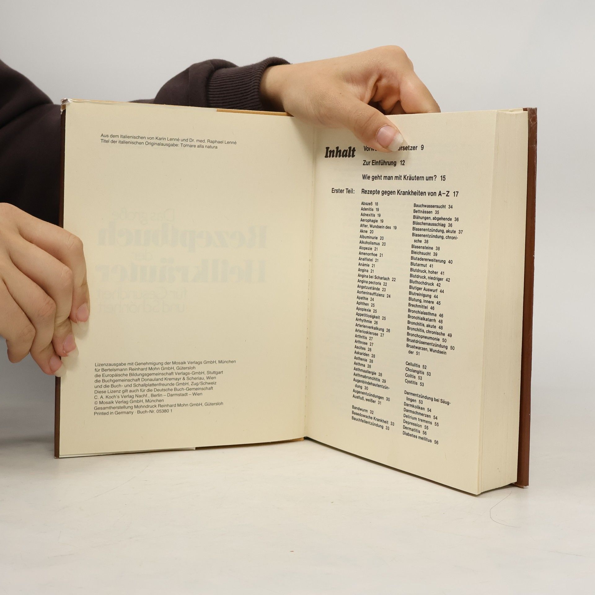 Renzo Corcos Das grosse Rezeptbuch der Heilkräuter für Gesundheit und Schönheit
