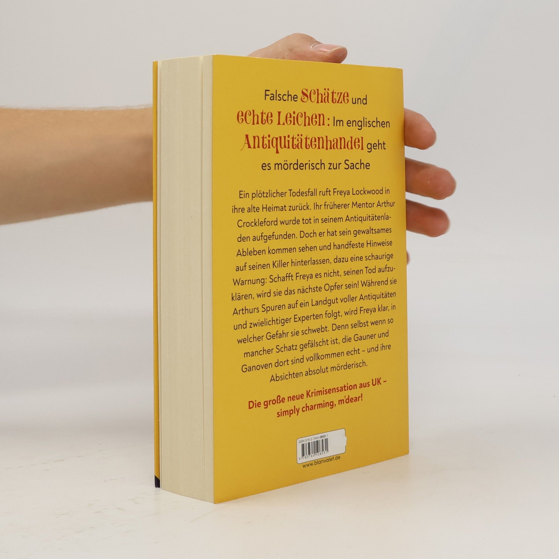 C.L. Miller Der falsche Vogel