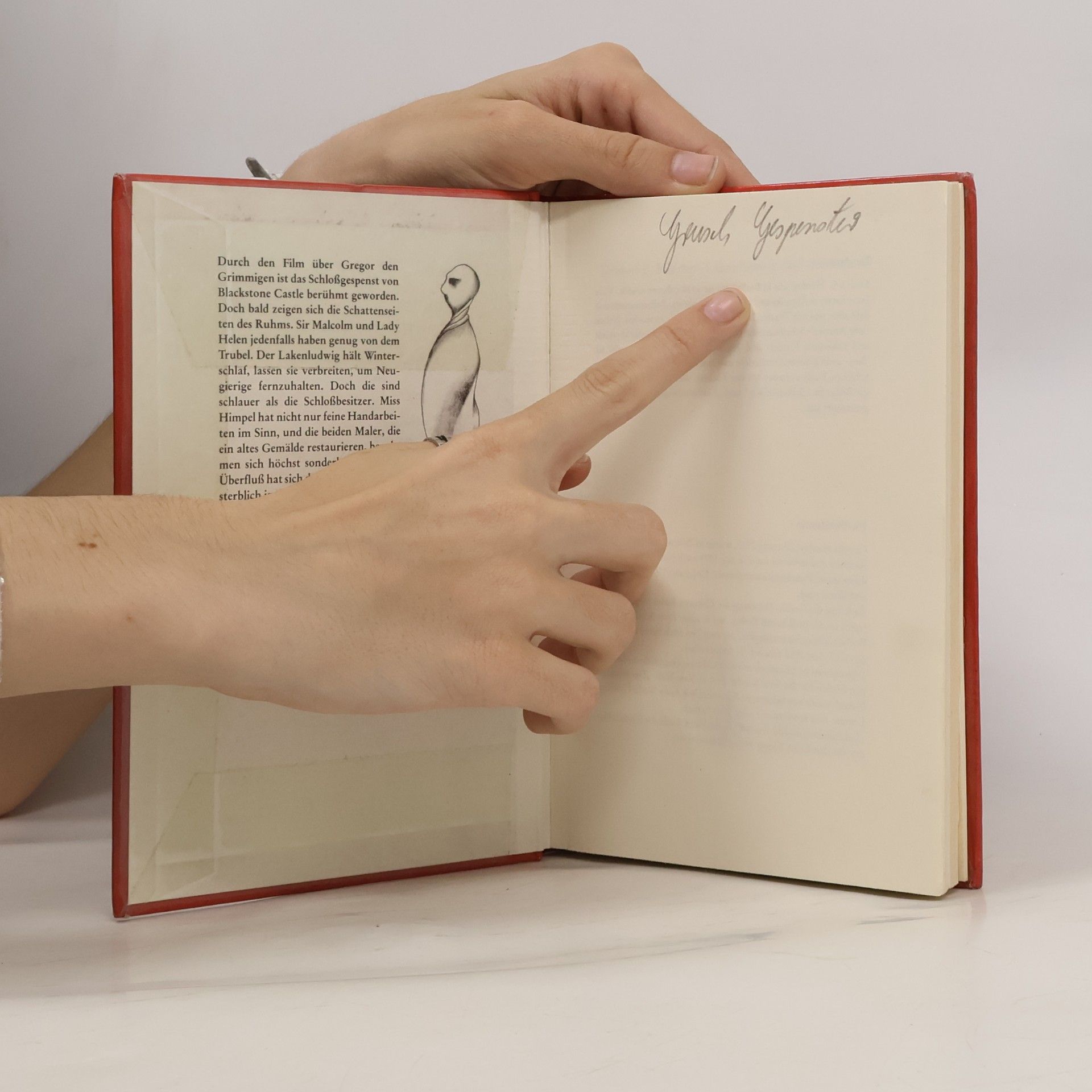 Evelyn Hardey Lakenludwig und die Gauner