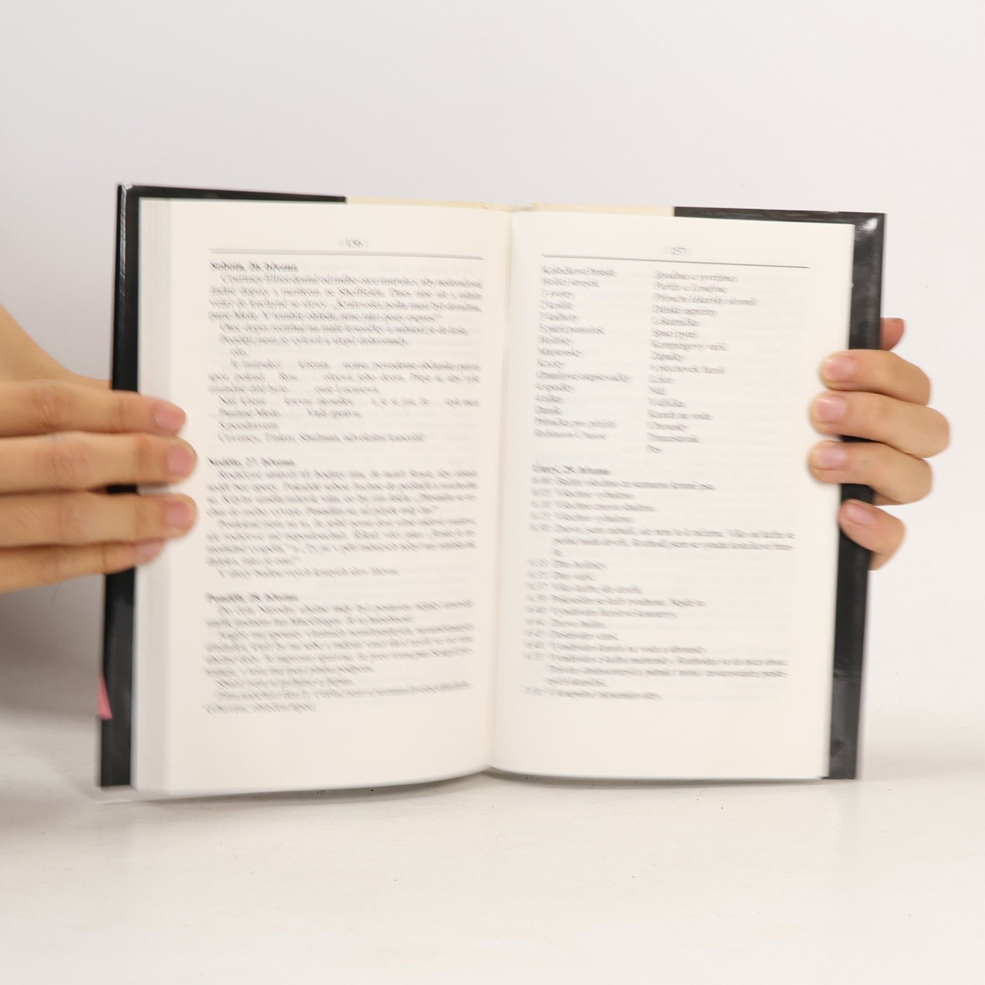 Sue Townsend Hořké zrání Adriana Molea