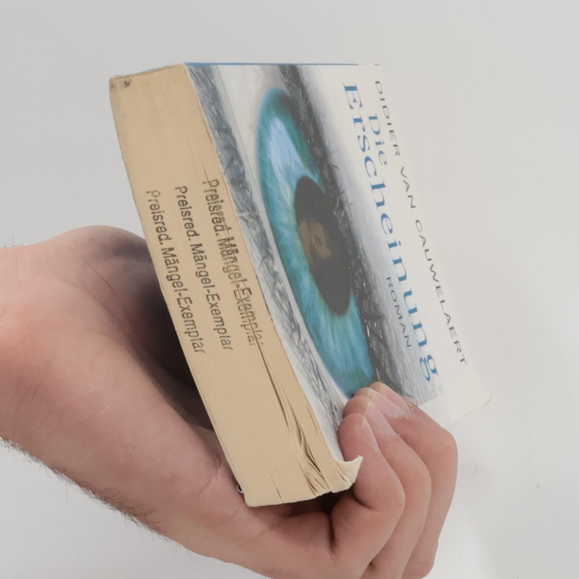 Didier Van Cauwelaert Die Erscheinung