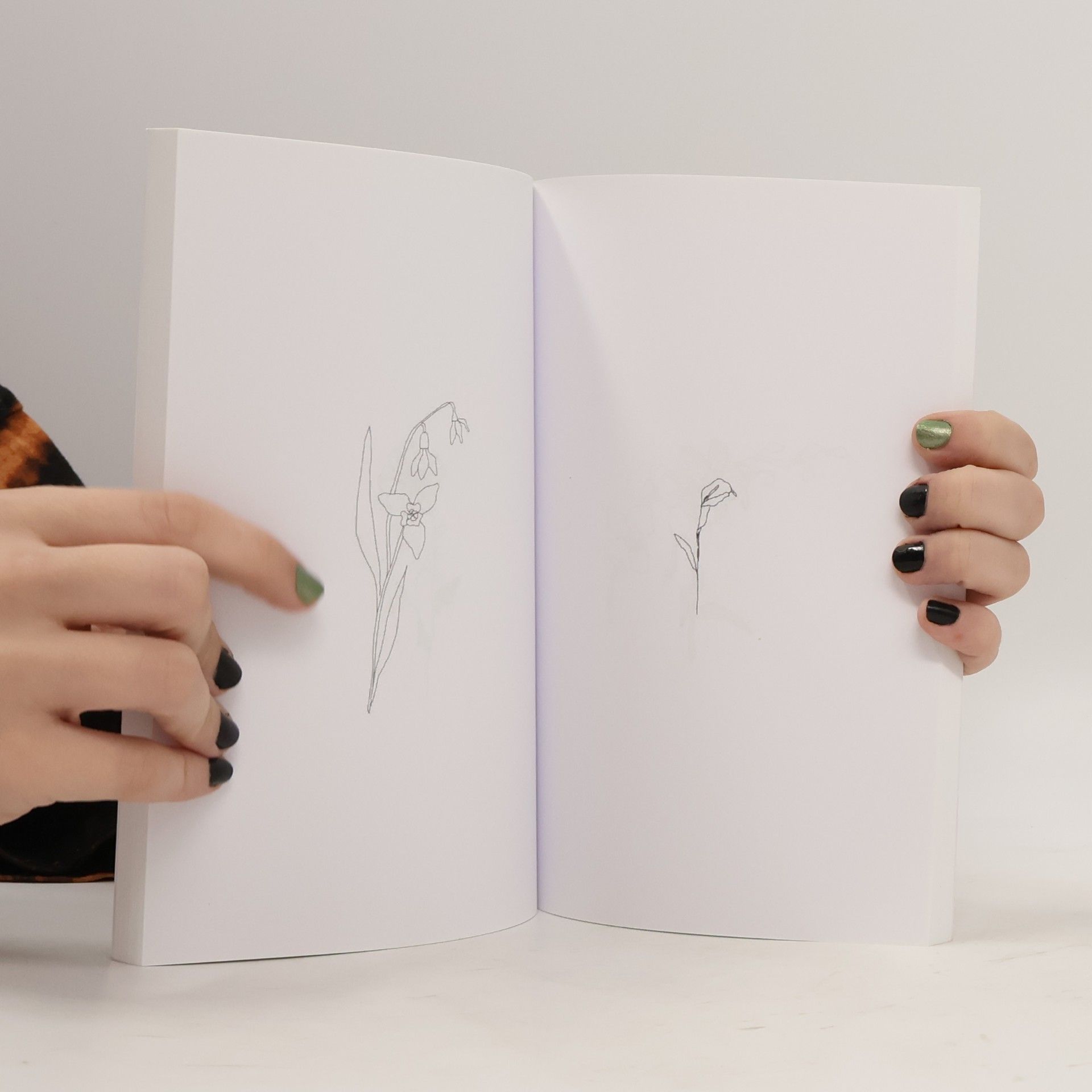 Bailey Drinkwater The Ink Within My Skin: A Tattoo Book