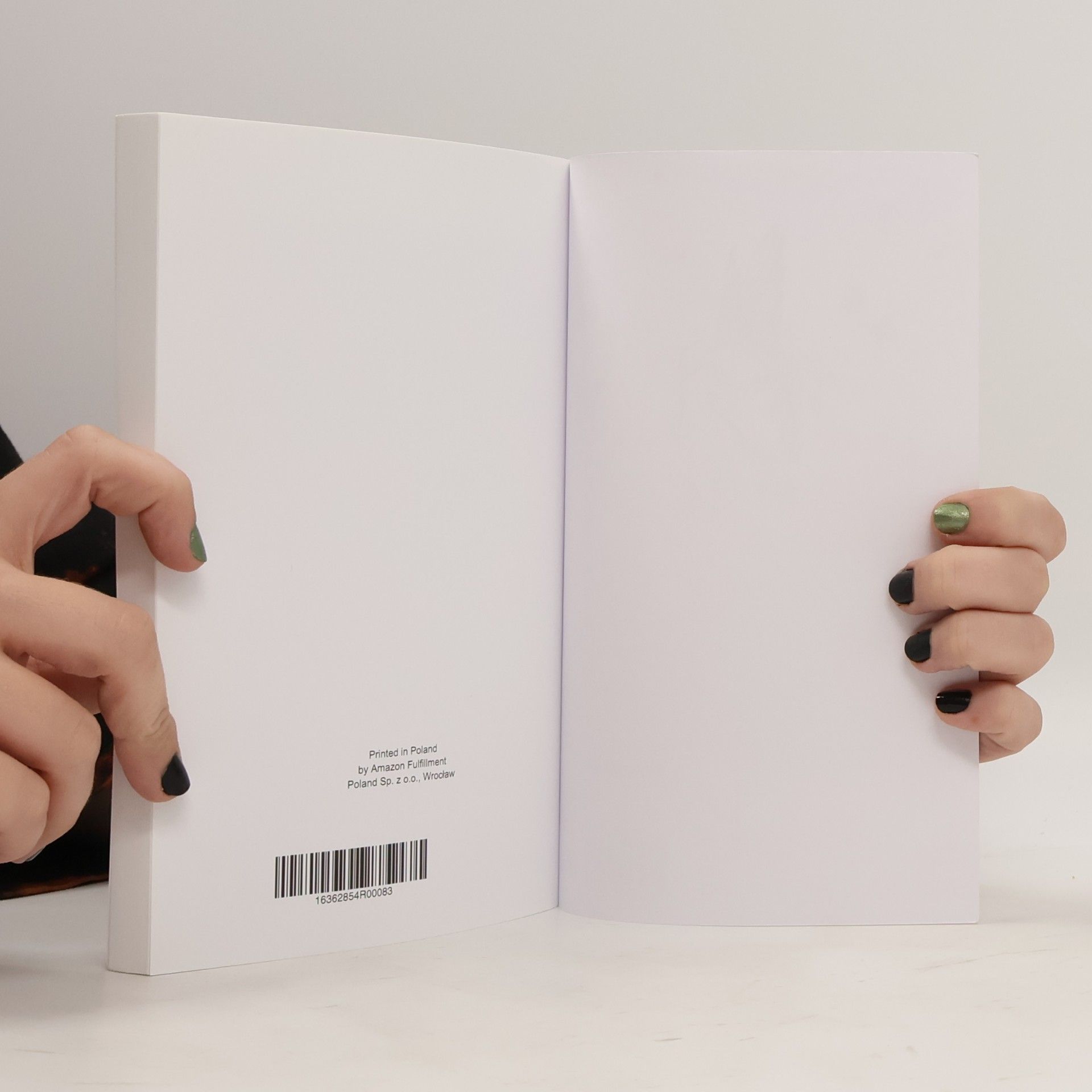 Bailey Drinkwater The Ink Within My Skin: A Tattoo Book