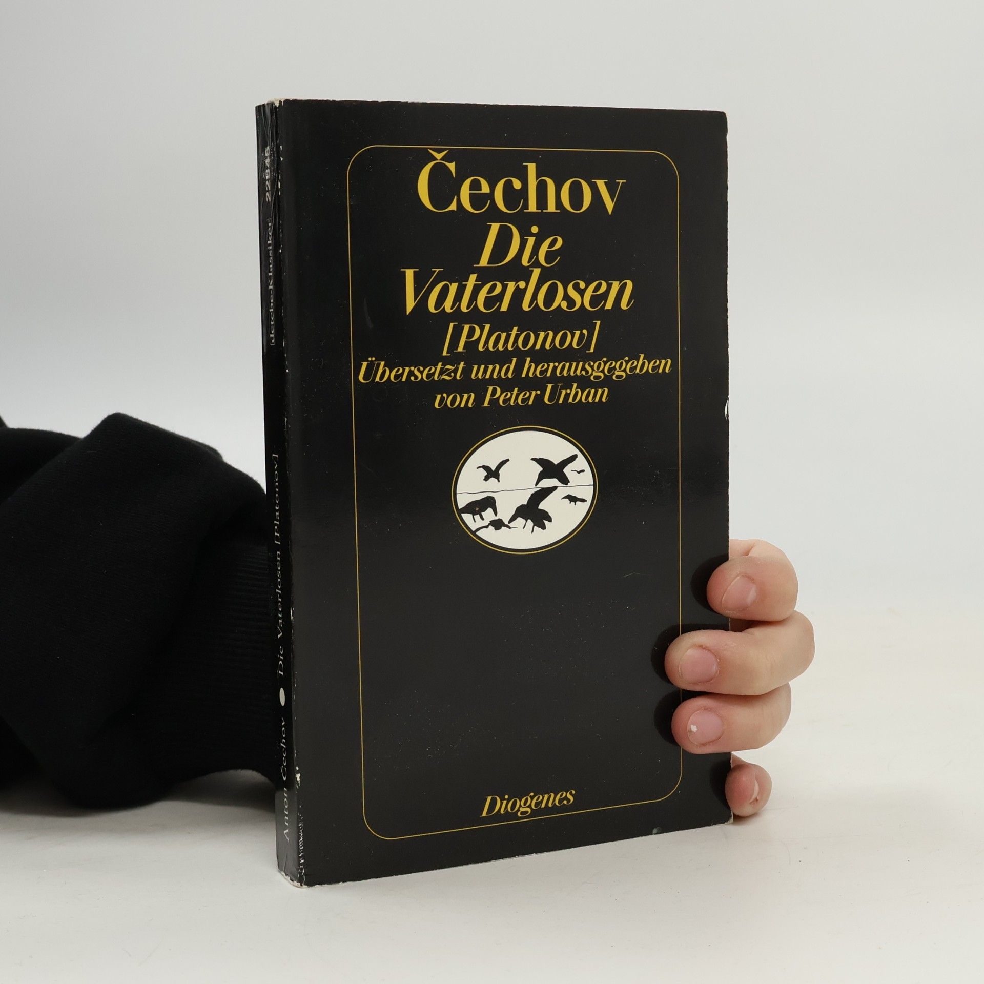 Anton Chekhov Die Vaterlosen
