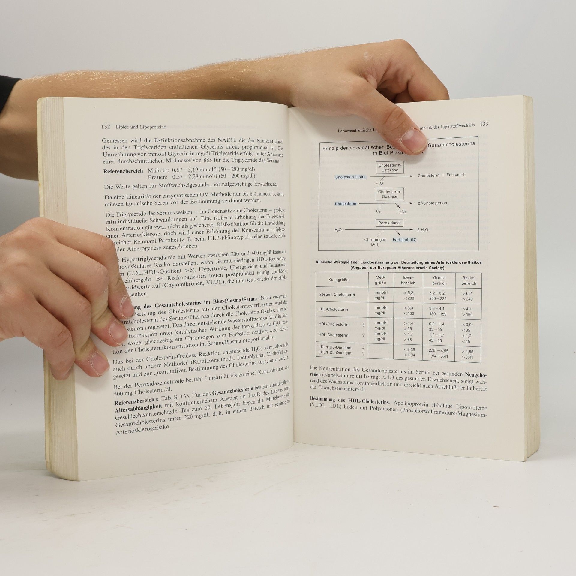 Eckhart Buddecke Pathophysiologie, Pathobiochemie, klinische Chemie