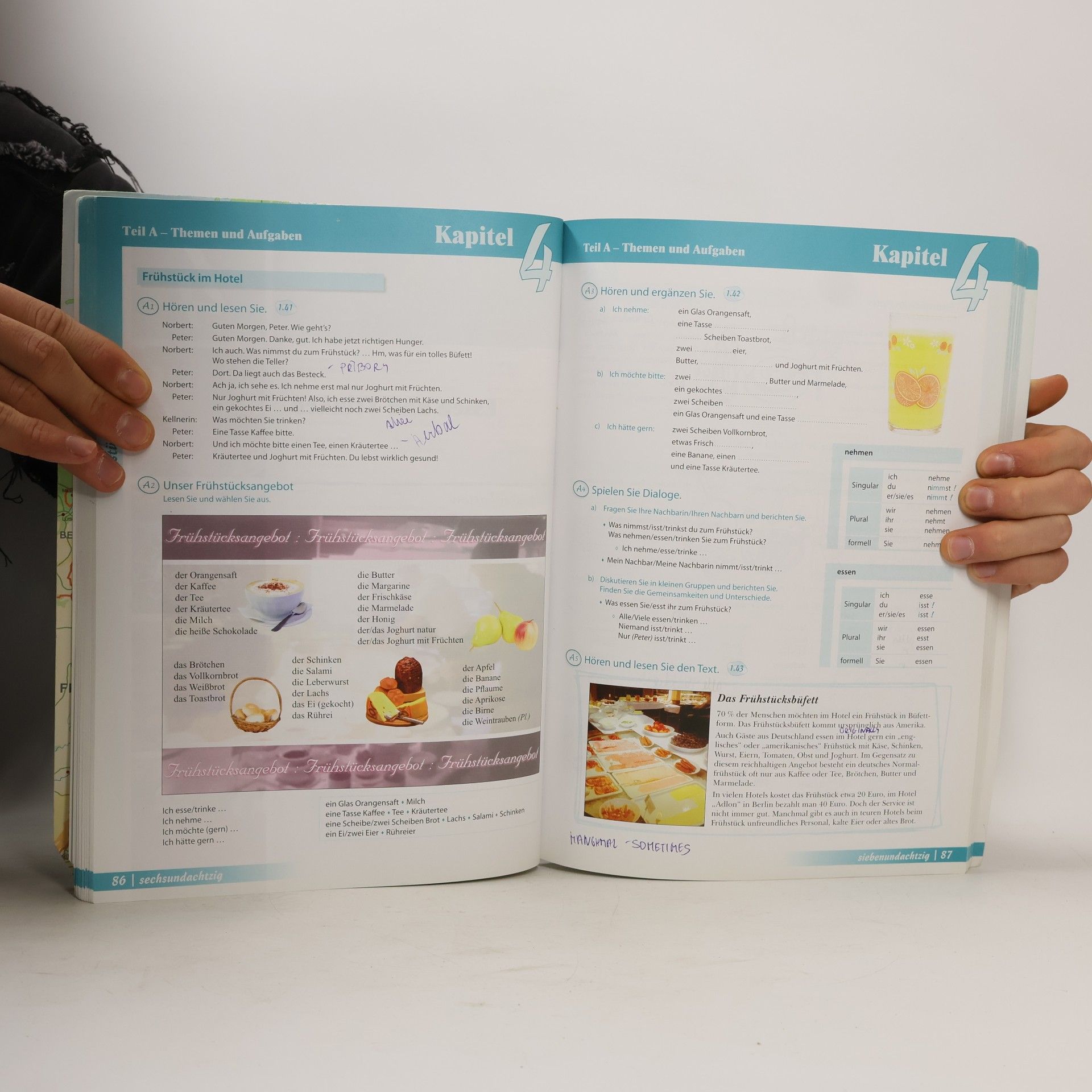 Anne Buscha Begegnungen : Integriertes Kurs- und Arbeitsbuch : Sprachniveau A1+
