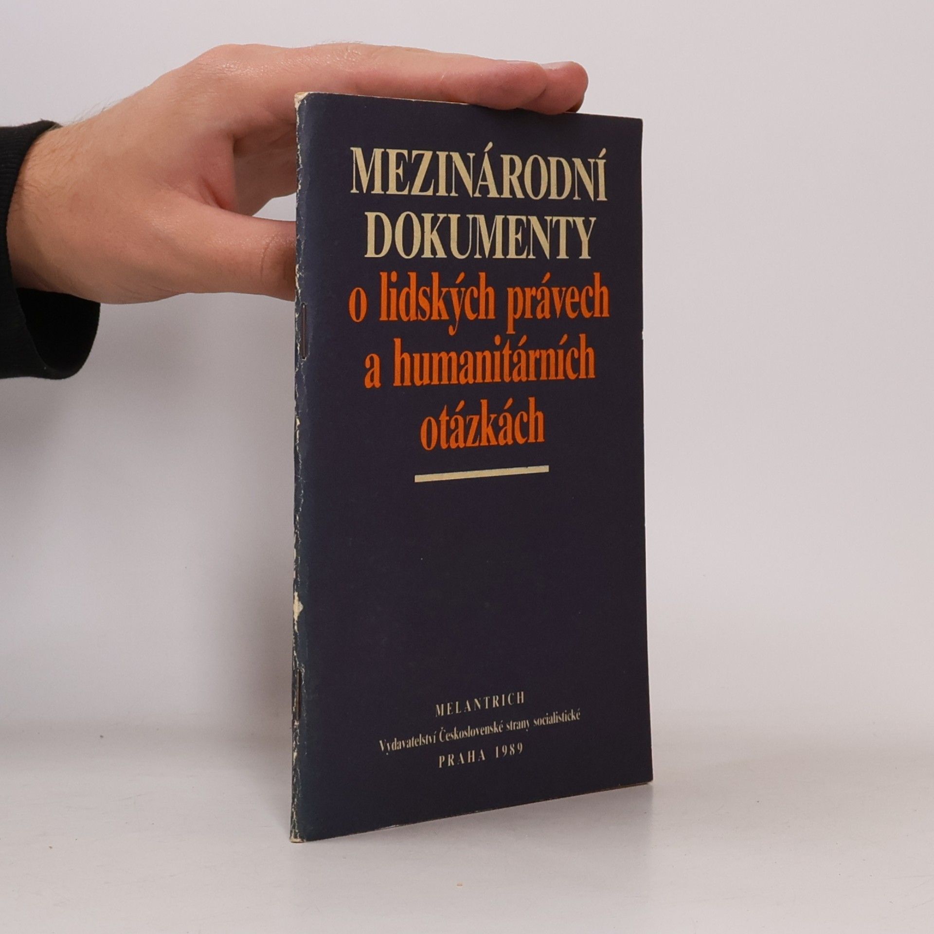Autorenkollektiv Mezinárodní dokumenty o lidských právech a humanitárních otázkách