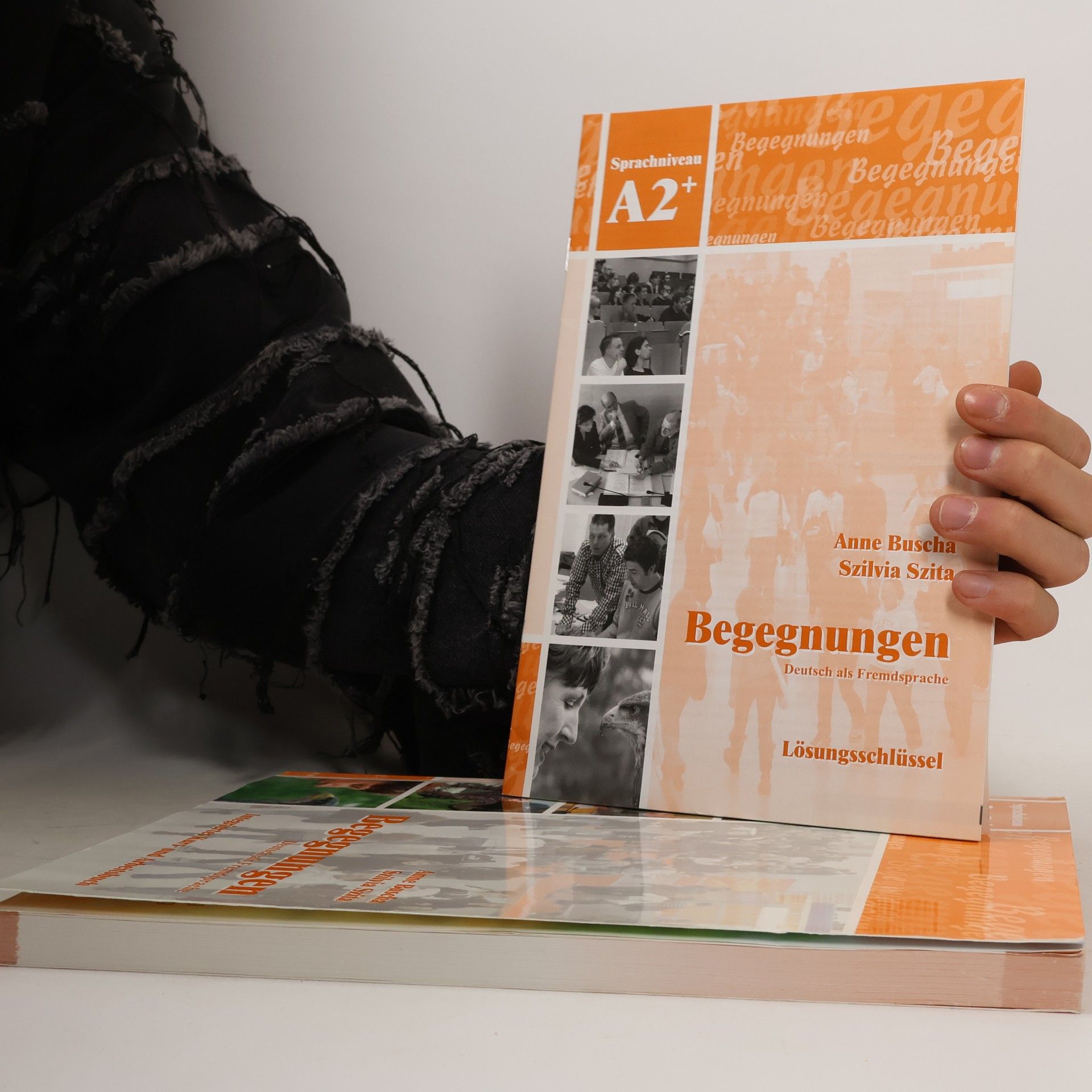 Anne Buscha Begegnungen. Sprachniveau A2+, Integriertes Kurs- und Arbeitsbuch