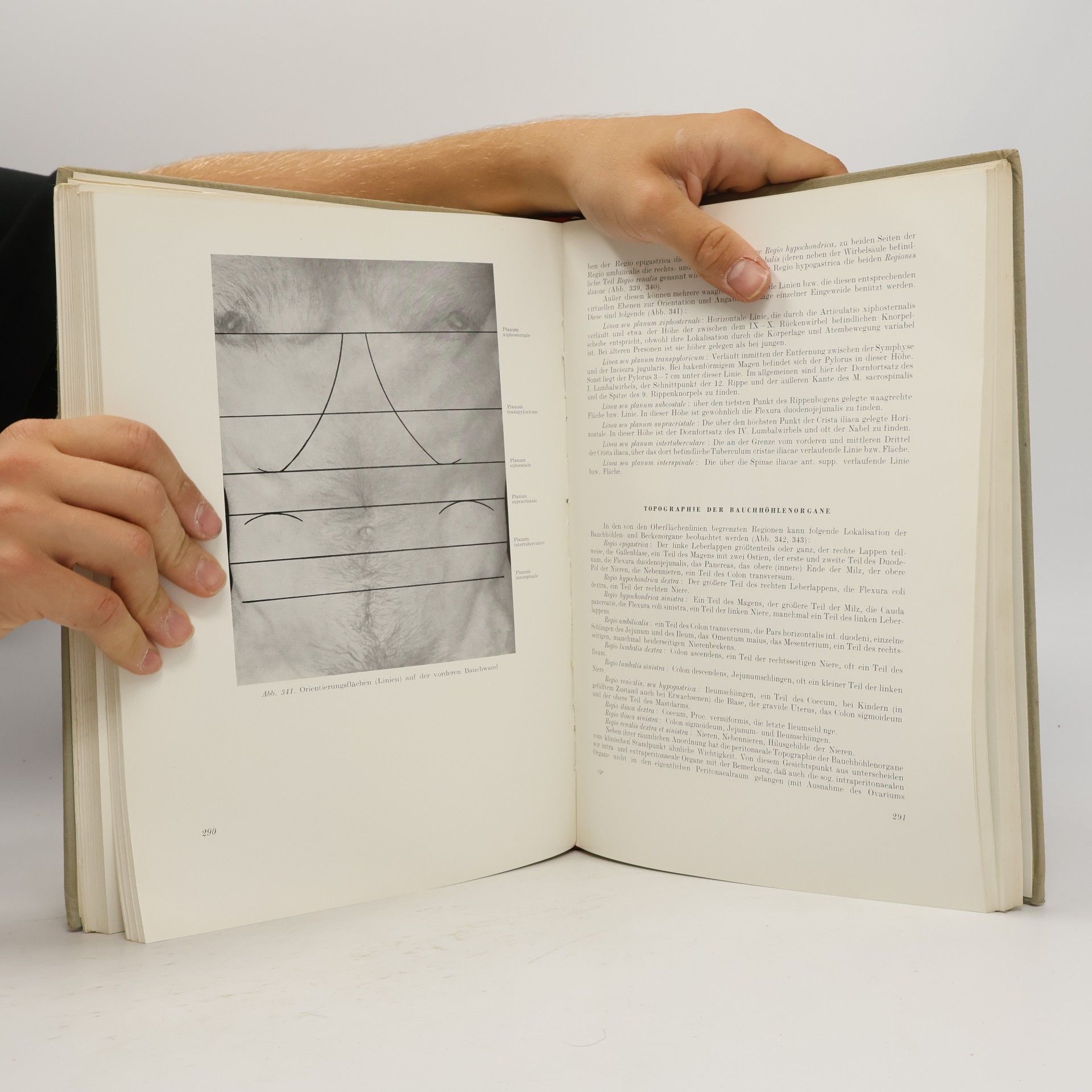 Dénes Nagy Röntgenanatomie