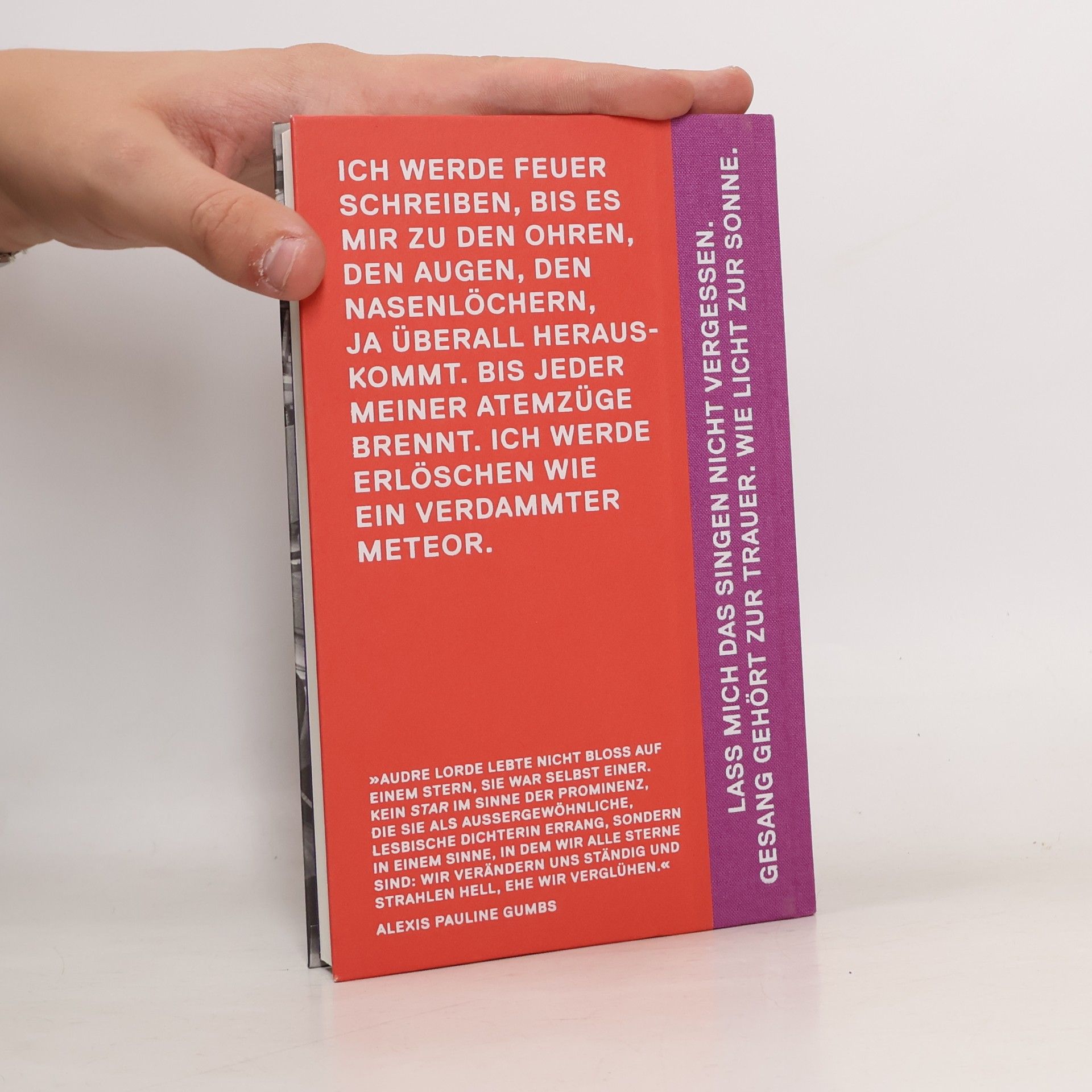 Audre Lorde Ein strahlendes Licht