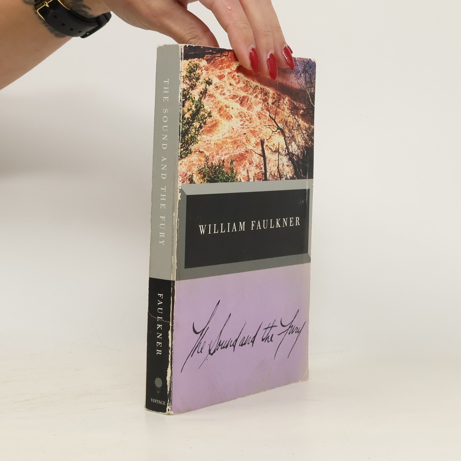 William Faulkner The Sound and the Fury