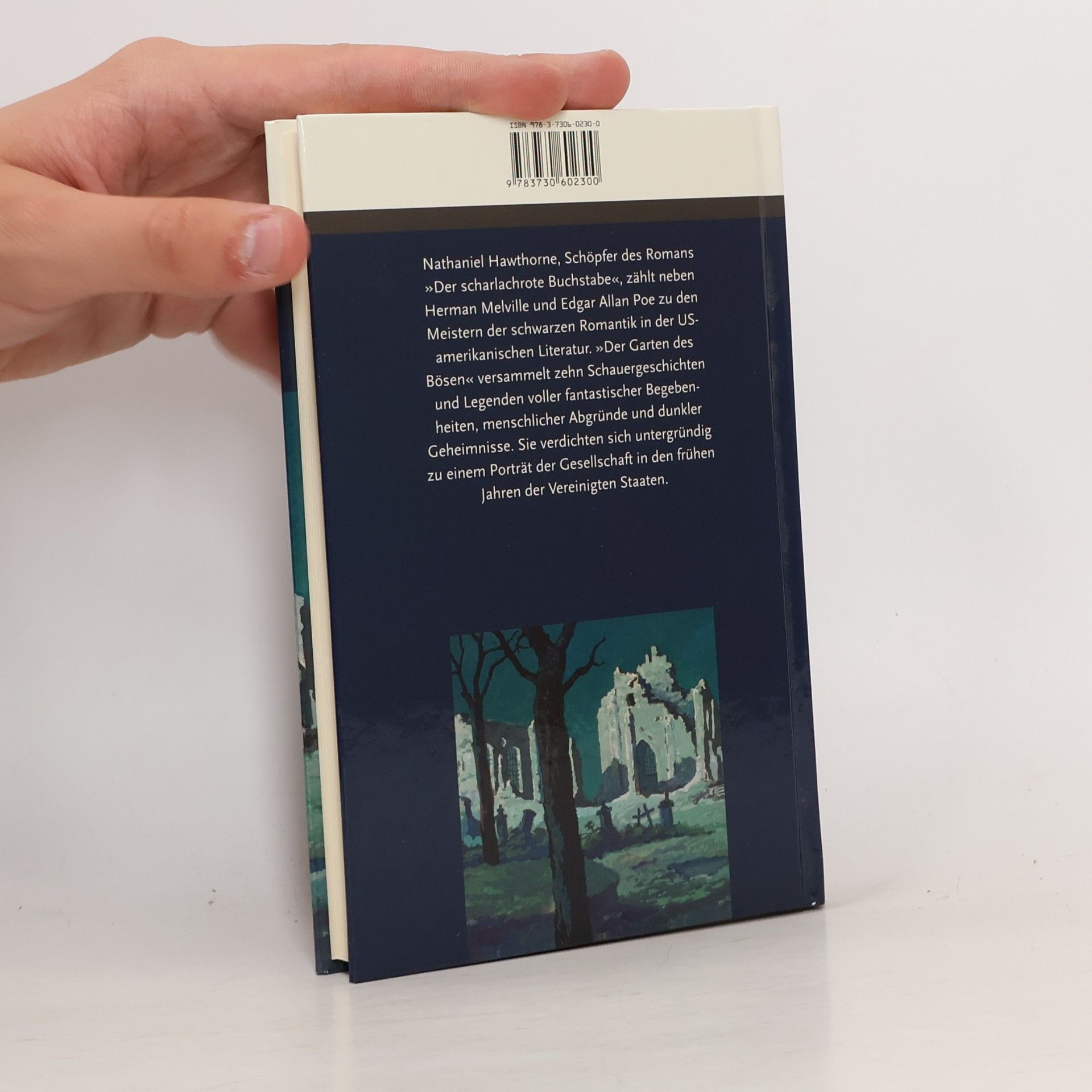 Nathaniel Hawthorne Der Garten des Bösen