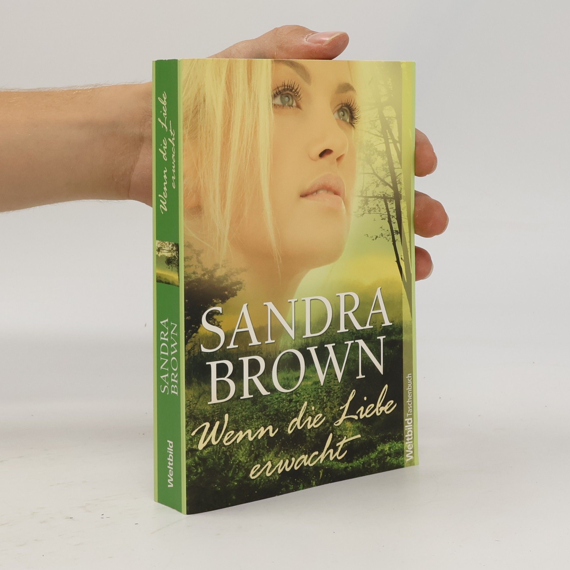 Sandra Brown Wenn die Liebe erwacht