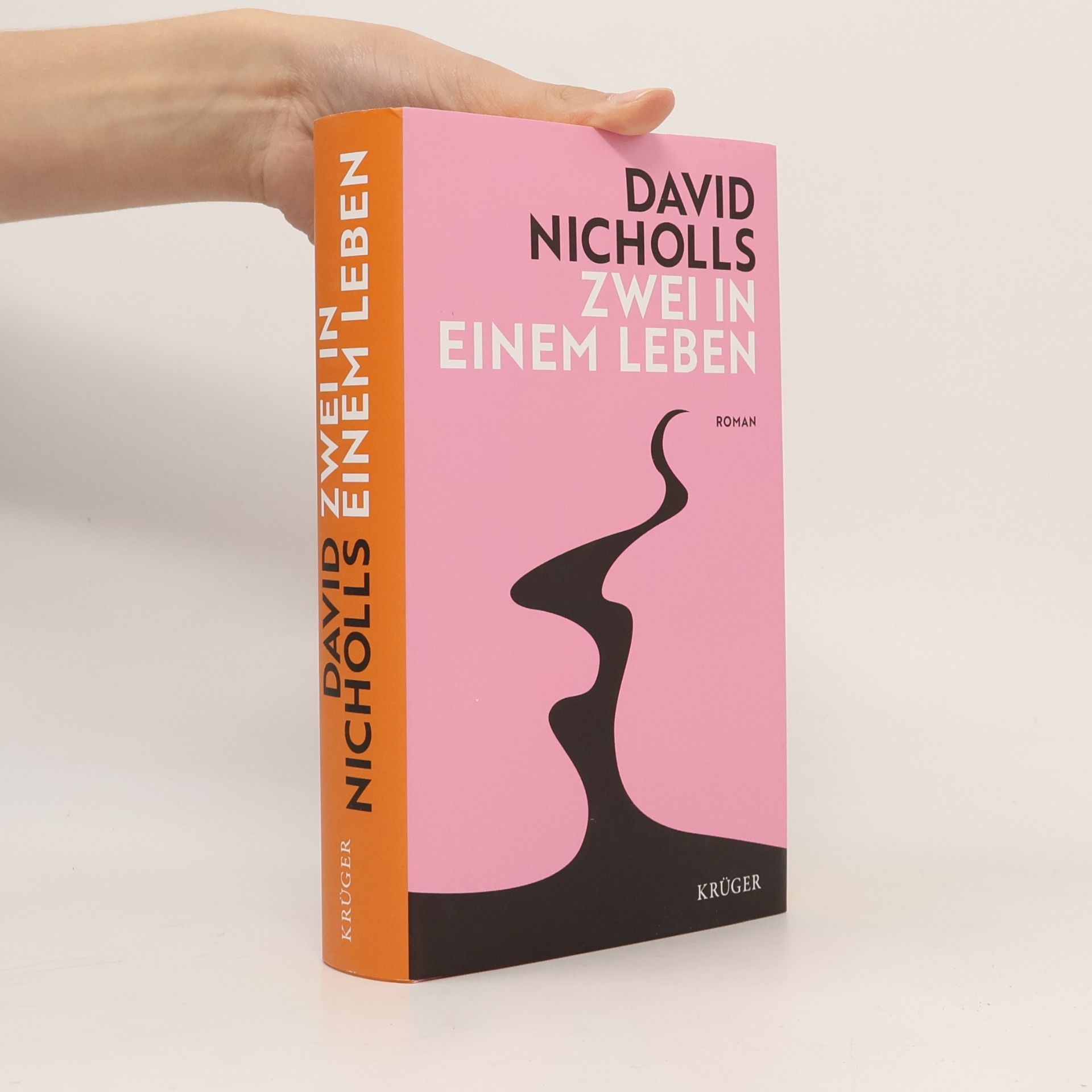 David Nicholls Zwei in einem Leben