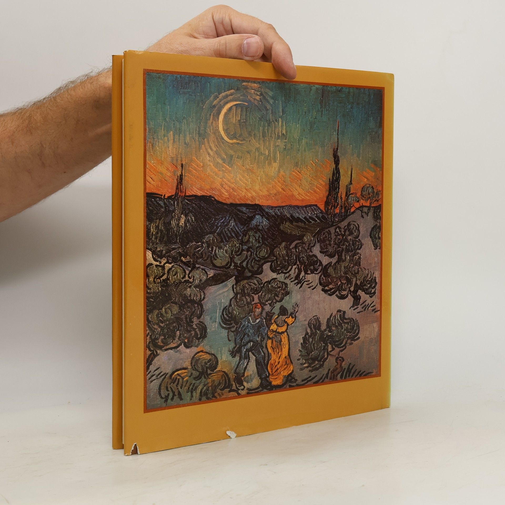 Arno M. Hammacher Van Gogh