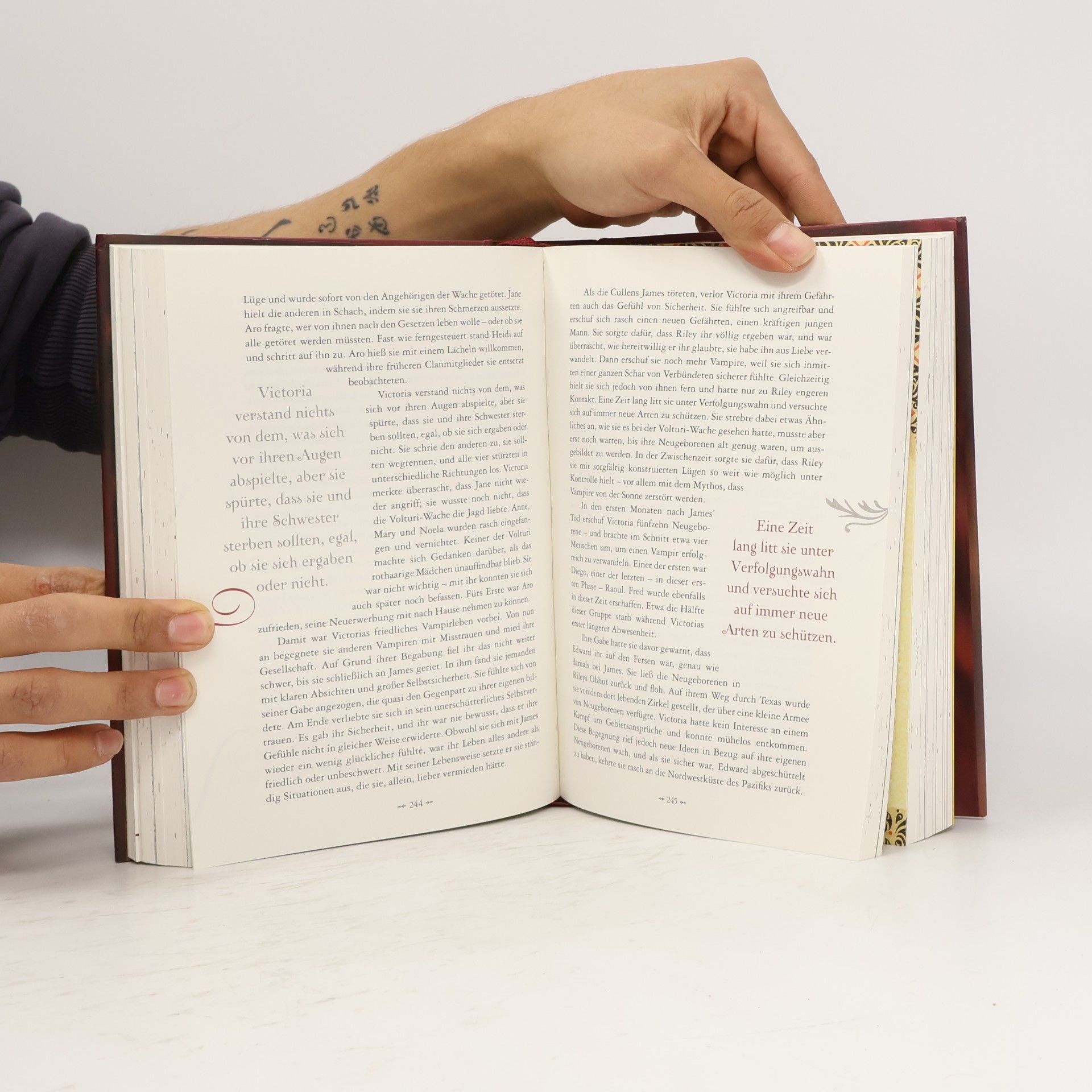 Stephenie Meyer Die Welt von Bella und Edward