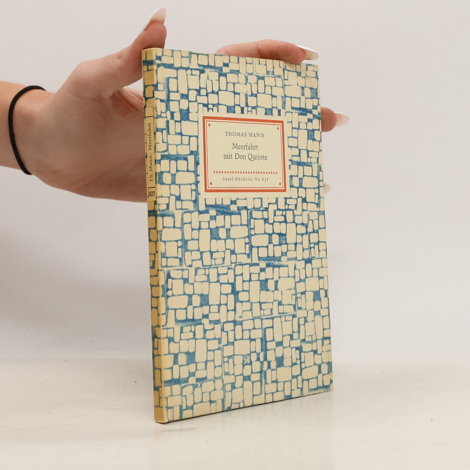 Thomas Mann Meerfahrt mit Don Quijote