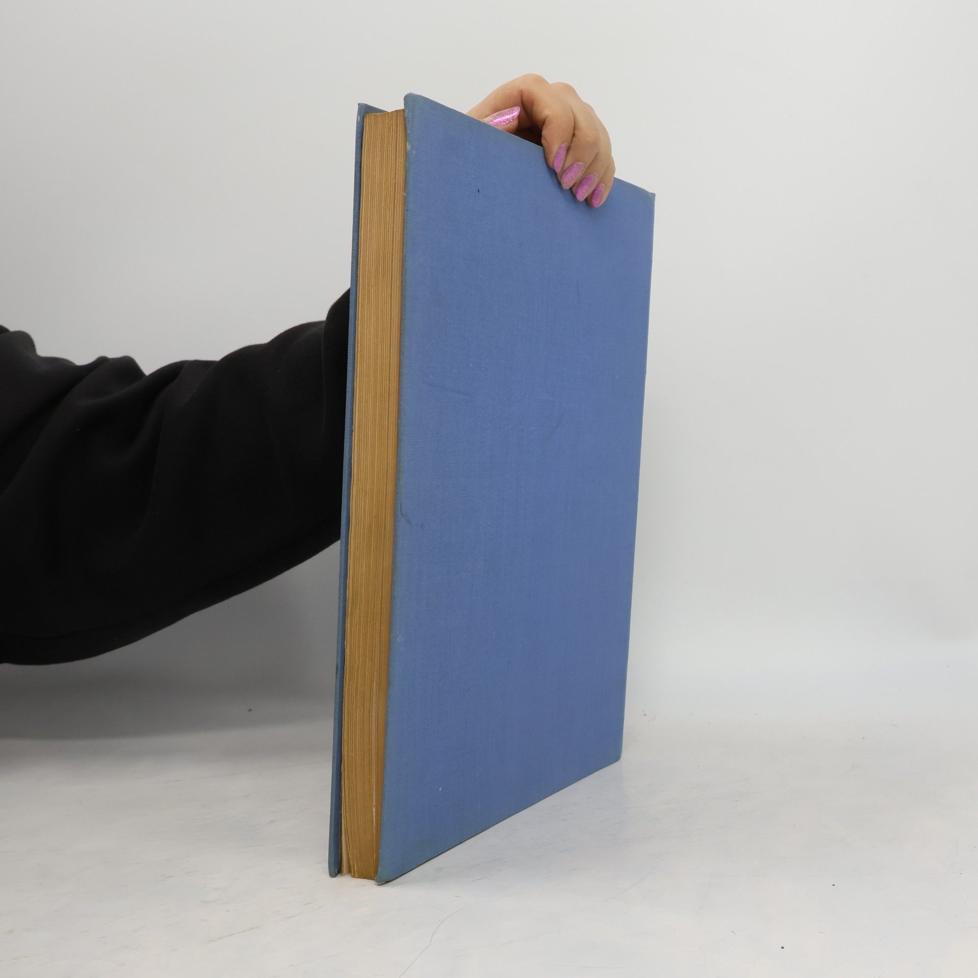 Hans Winkelmann Das Möbel-Fachbuch