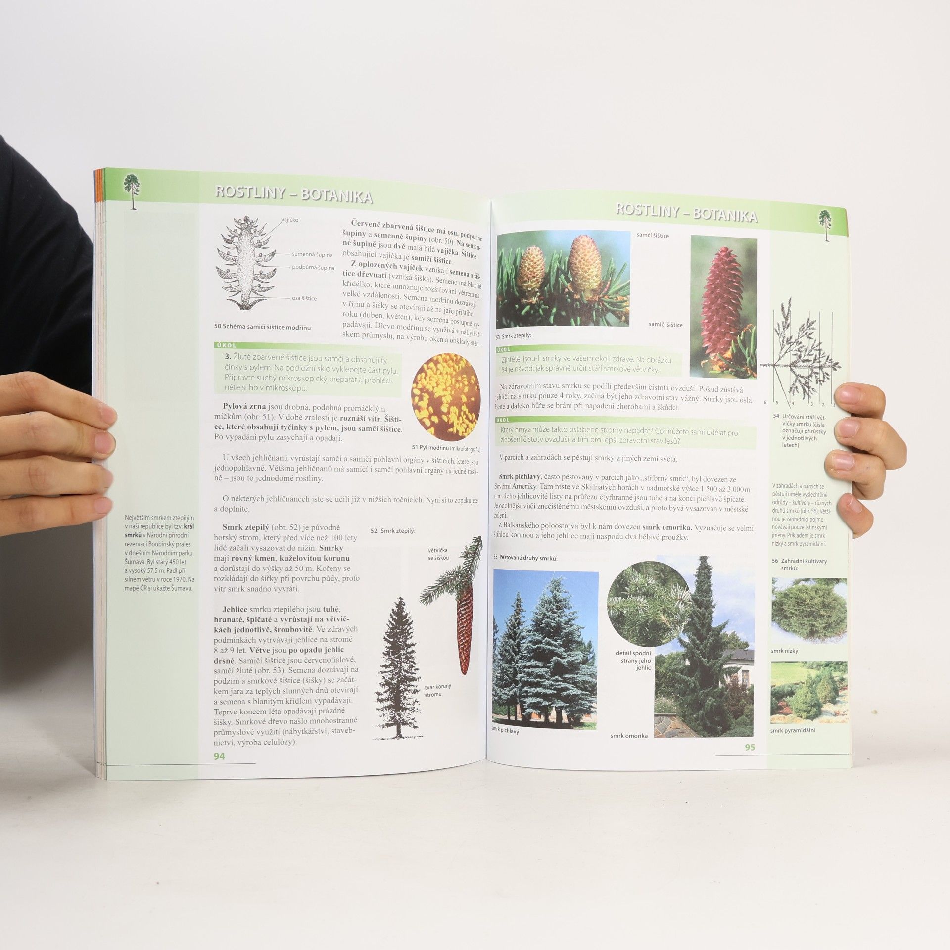 Vladimír Černík Přírodopis 6 : zoologie a botanika : pro základní školy