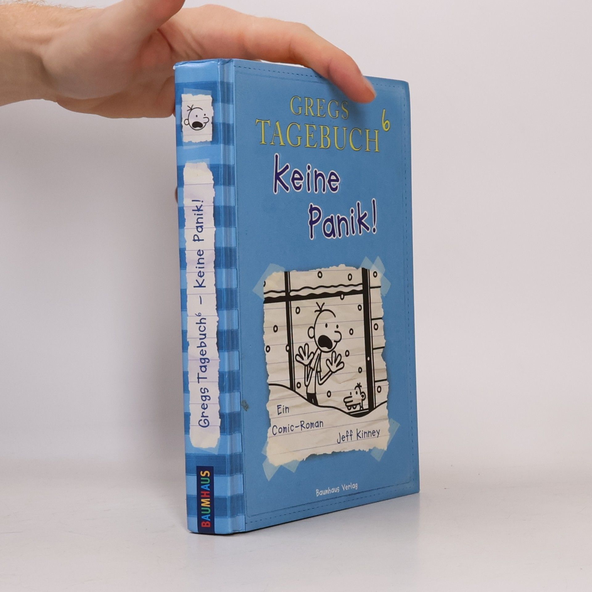 Gregs Tagebuch 6. Keine Panik!